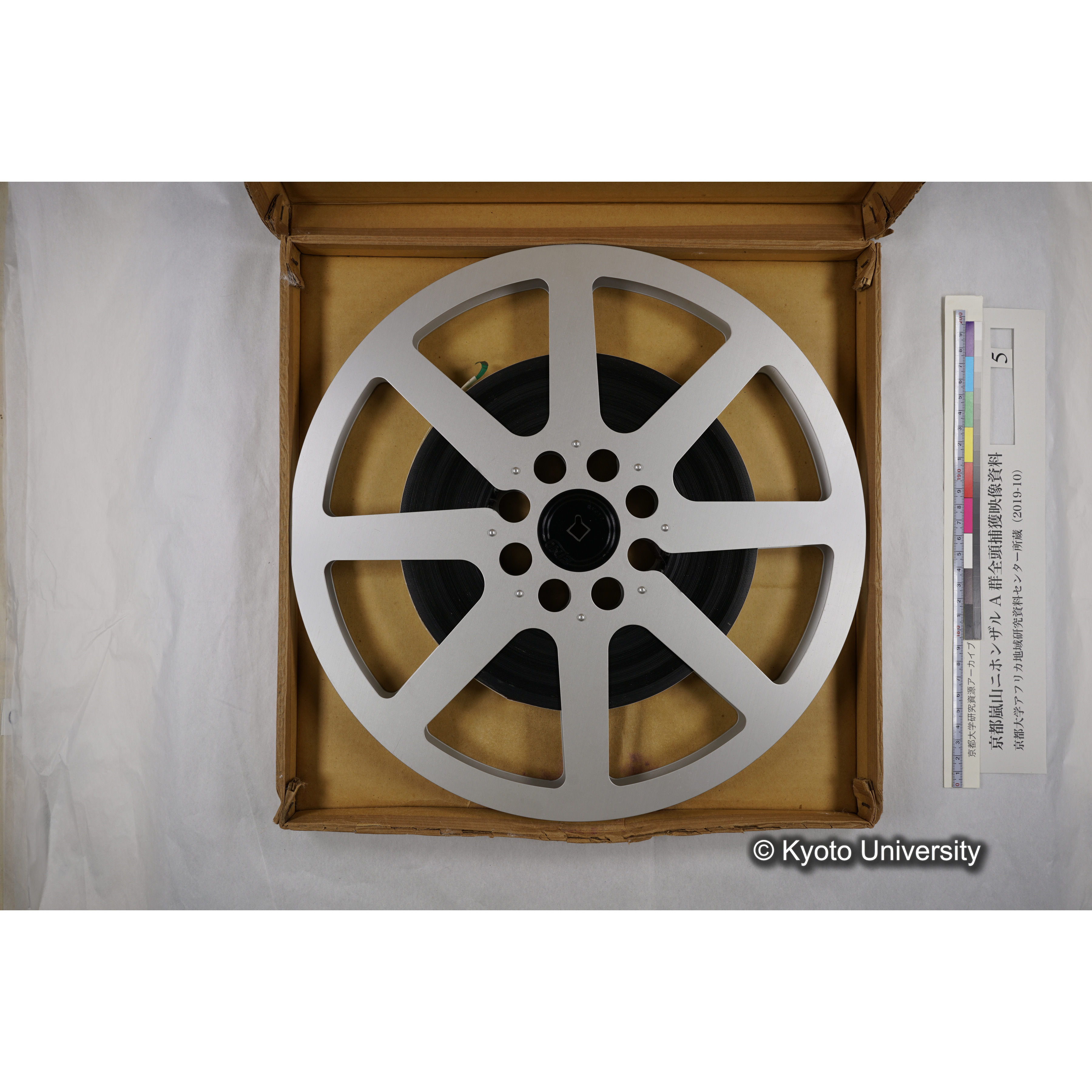[映画] (5) 1973.12.17 〜 12.20. (嵐山ニホンザル記録映像, カラー; 木登り, 餌やりほか; 岩田山の望遠観察を含む). (5)