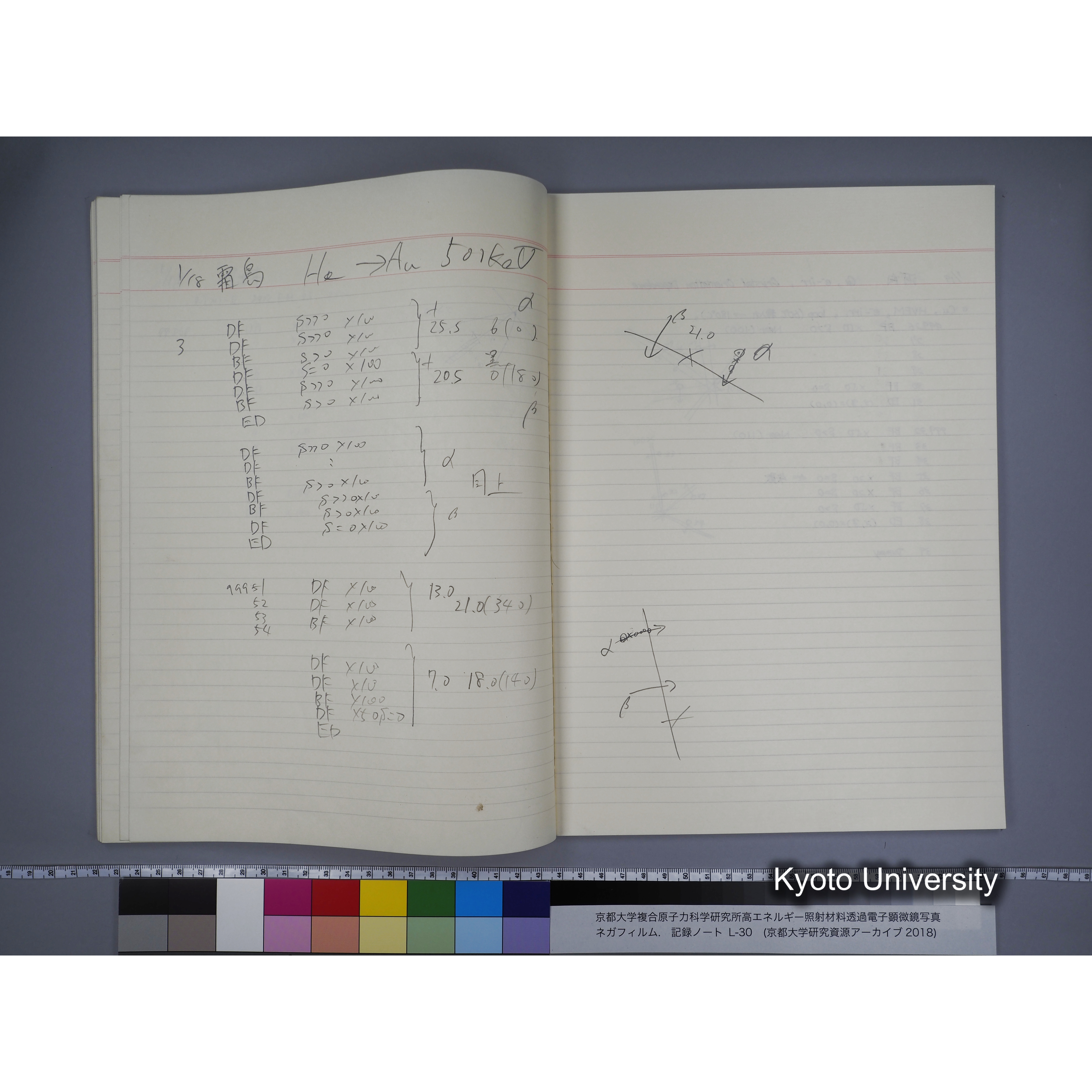 [記録ノート, Lシリーズ] L-30 '94.12.30〜 '95.2.5 (35)