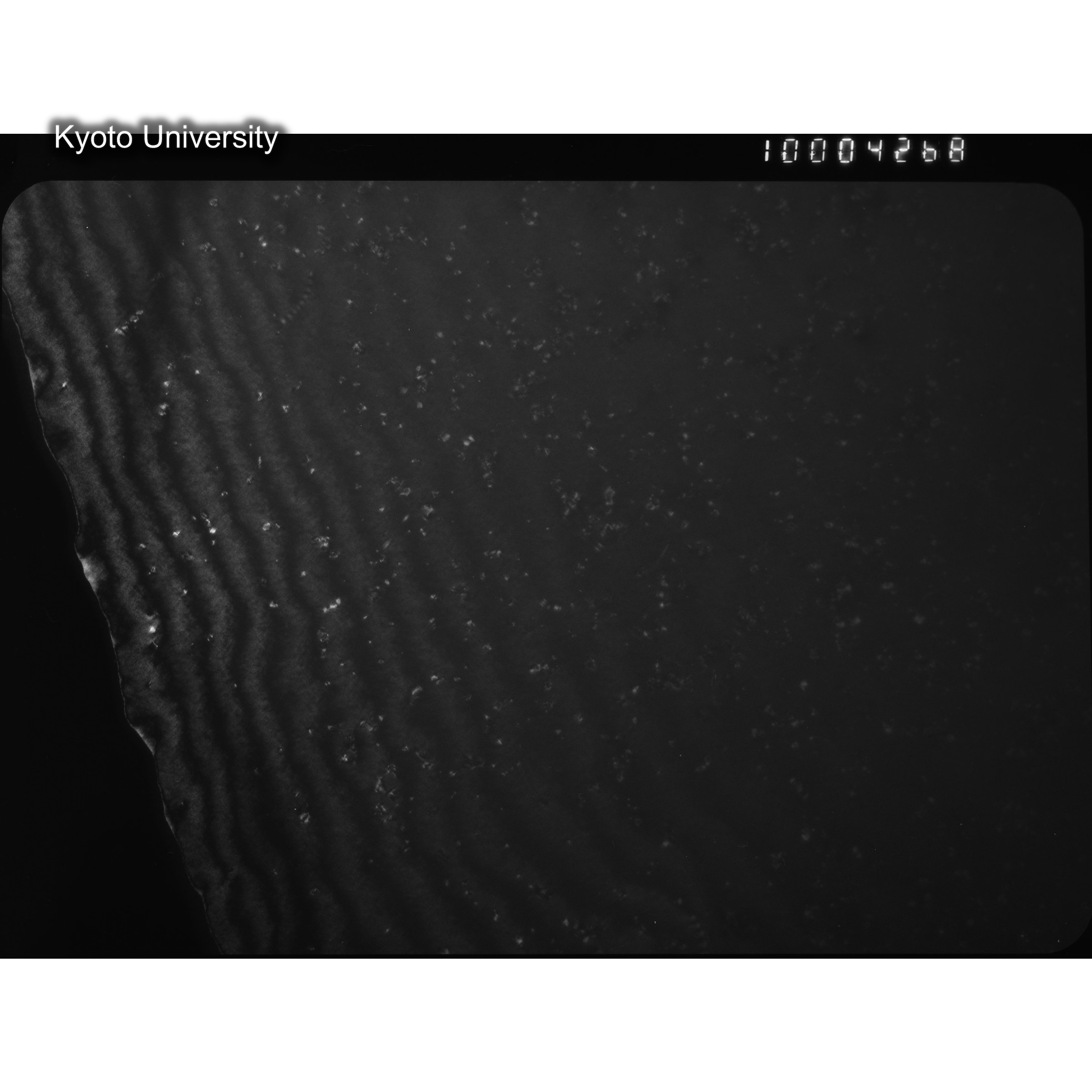 [ネガフィルム, Oシリーズ] O-4268. Au, AD222, RTNS-II　Abe, RT, W, DF, 100K. (2)