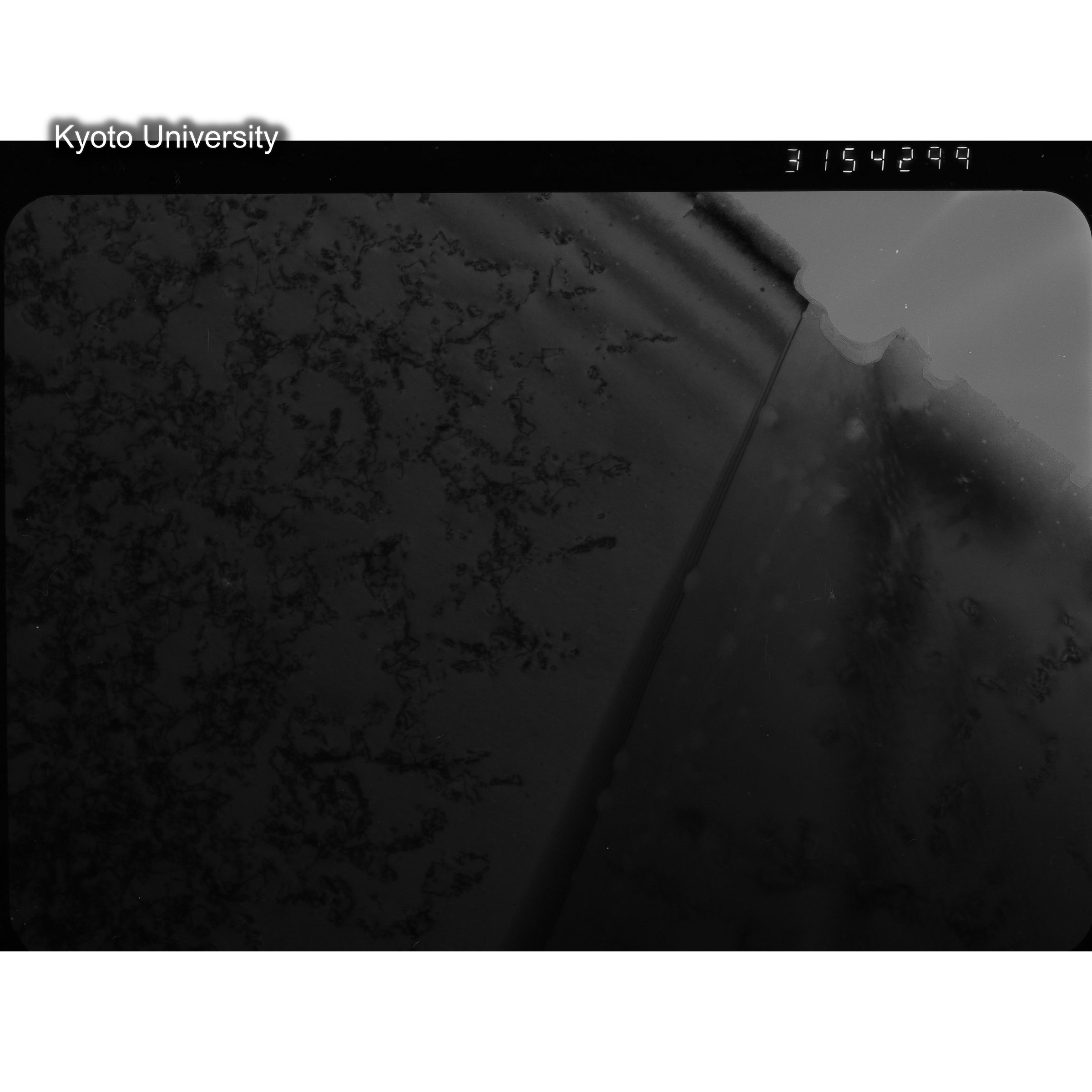 [ネガフィルム, Oシリーズ] O-54299. Ni-2Ge, JMTR　controlled, 290℃, 7. (2)