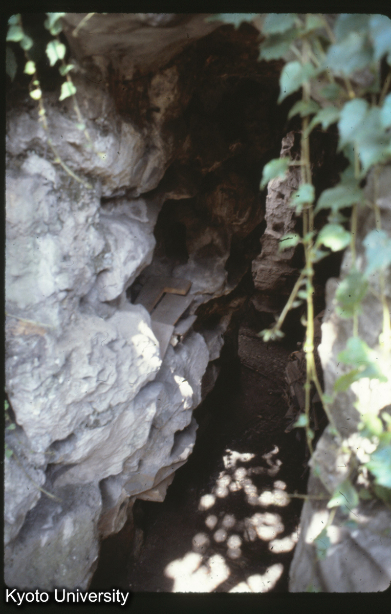 18-11_蘇州王洗馬巷 万宅_81 (1)