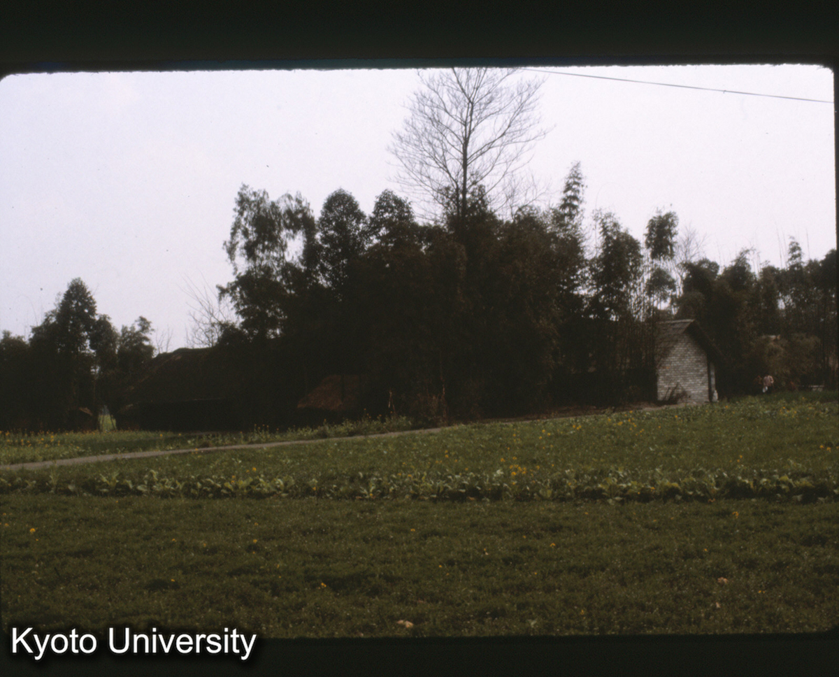 120-29_民居 灌県郊外 (1)