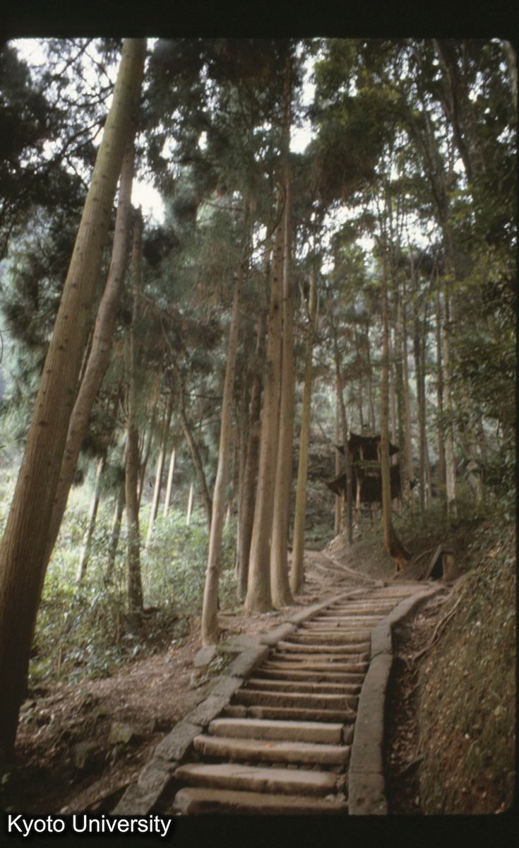 120-38止_灌県 青城山 参道 (1)