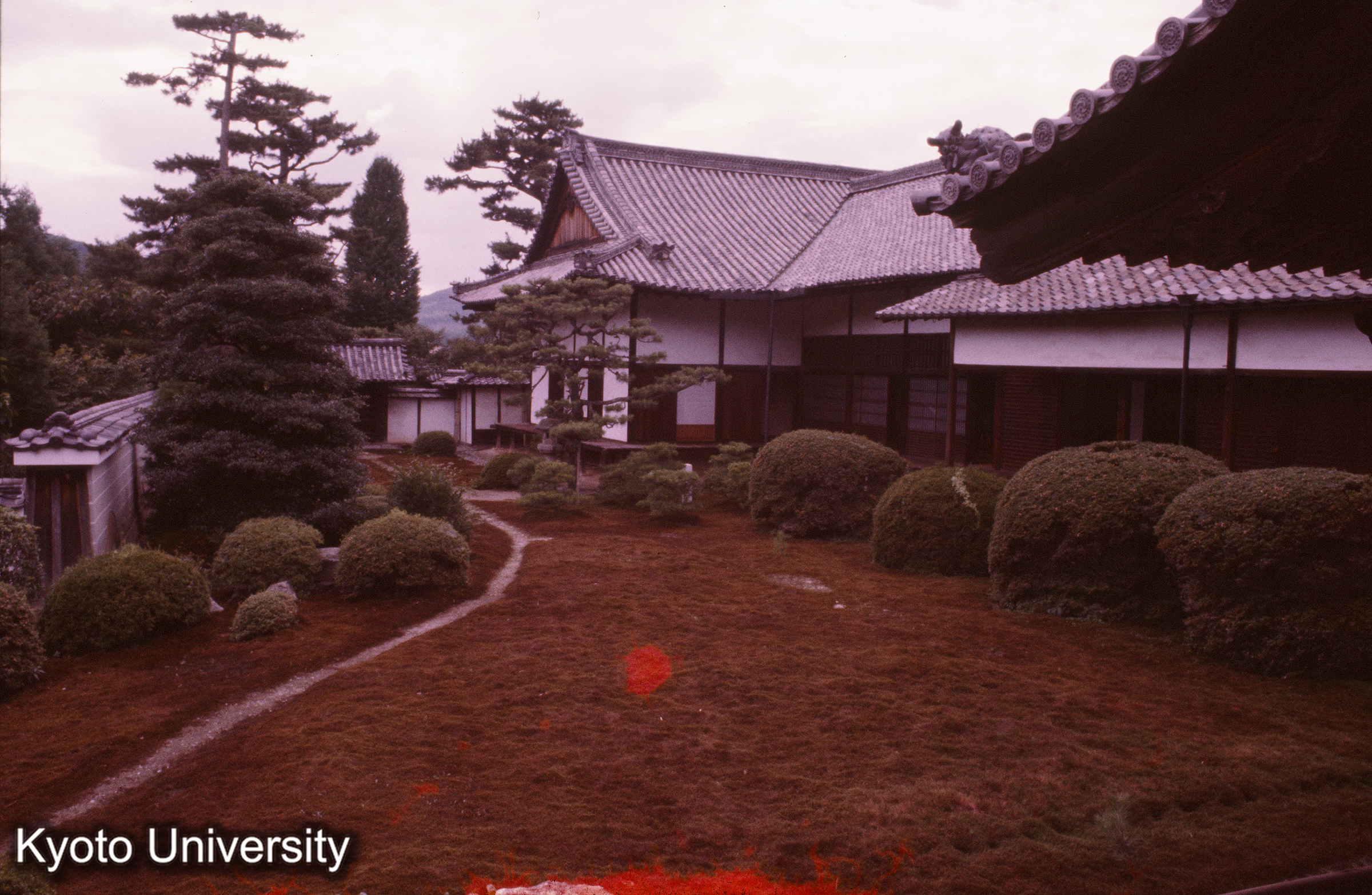 随心院 (1)