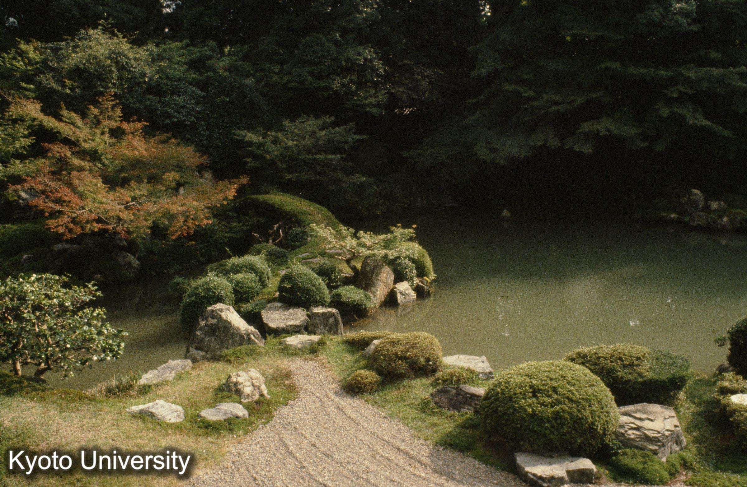 醍醐寺三宝院 (1)