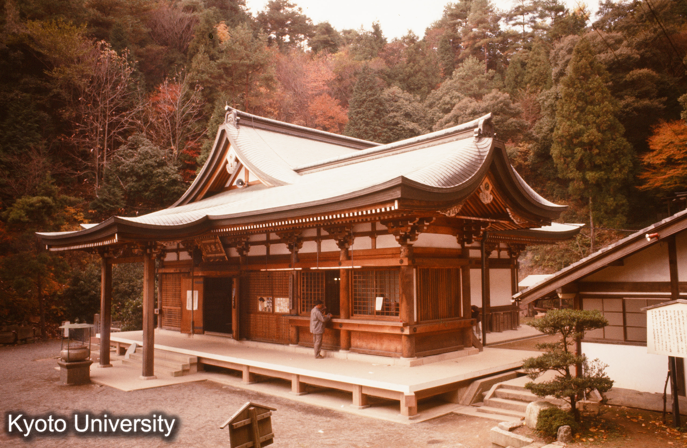 醍醐寺 (1)