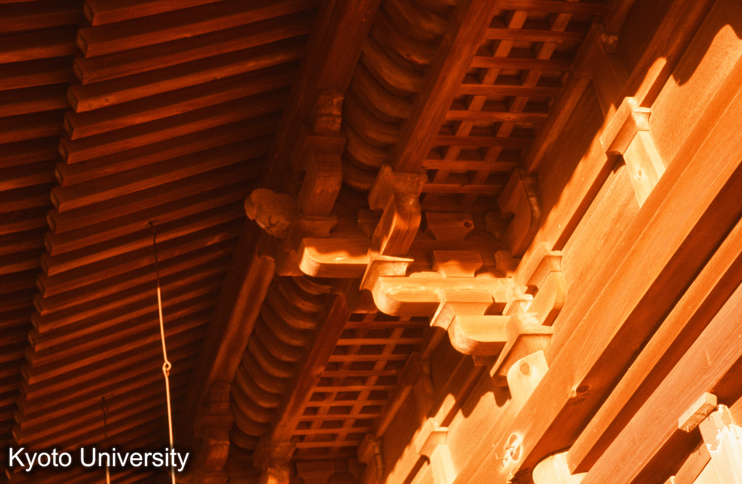 醍醐寺 (1)