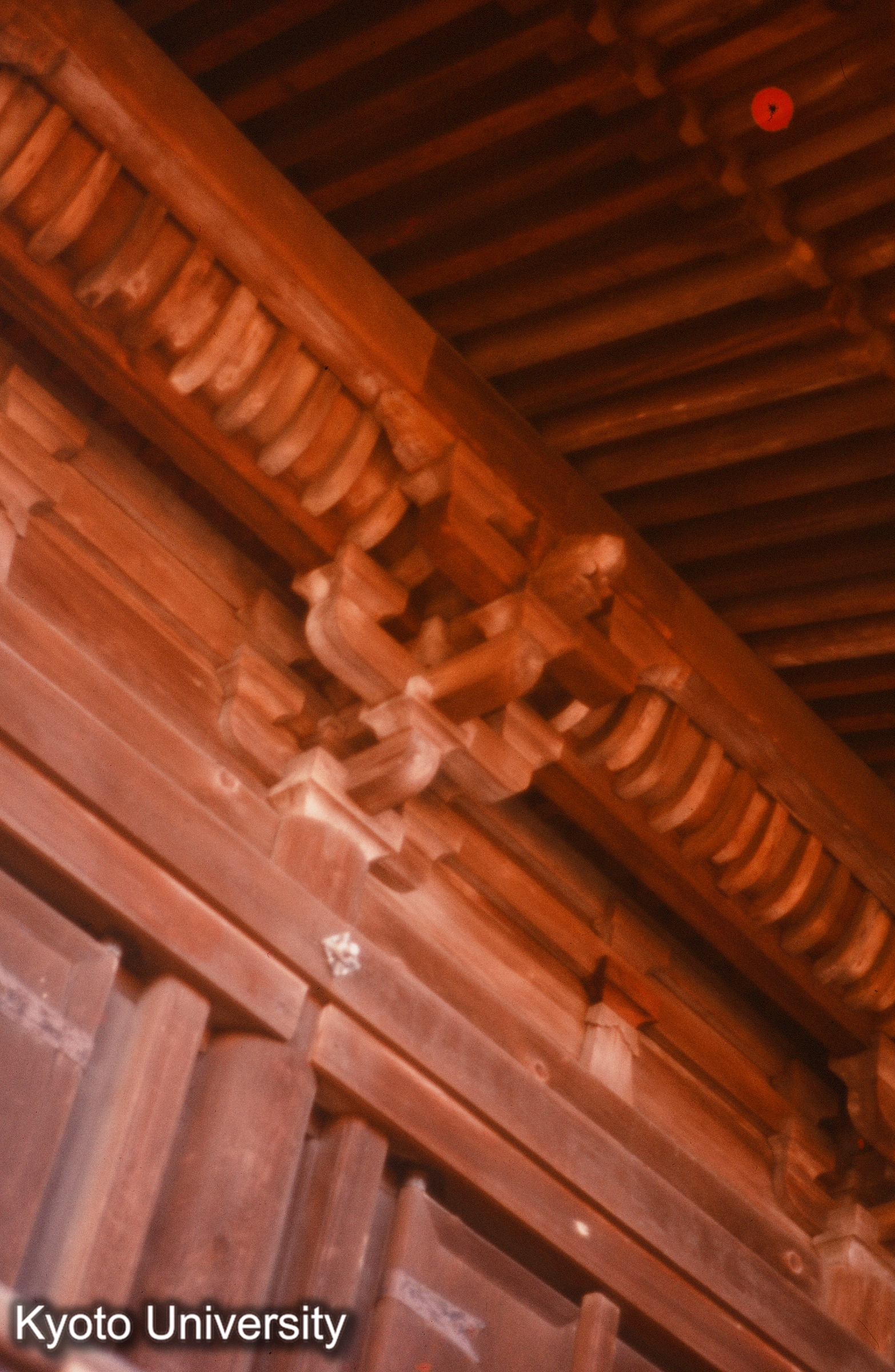 醍醐寺 (1)