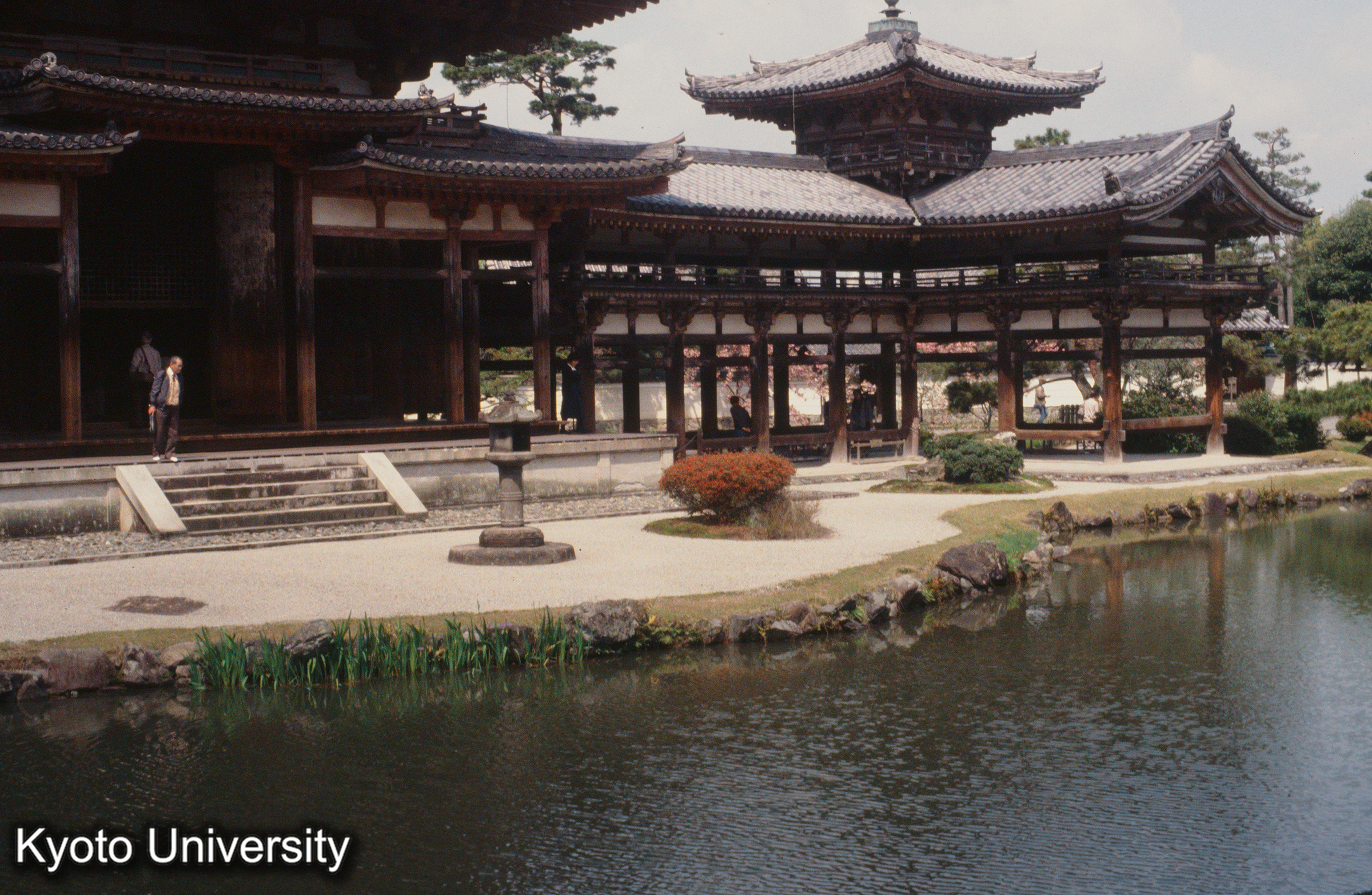 平等院鳳凰堂 (1)