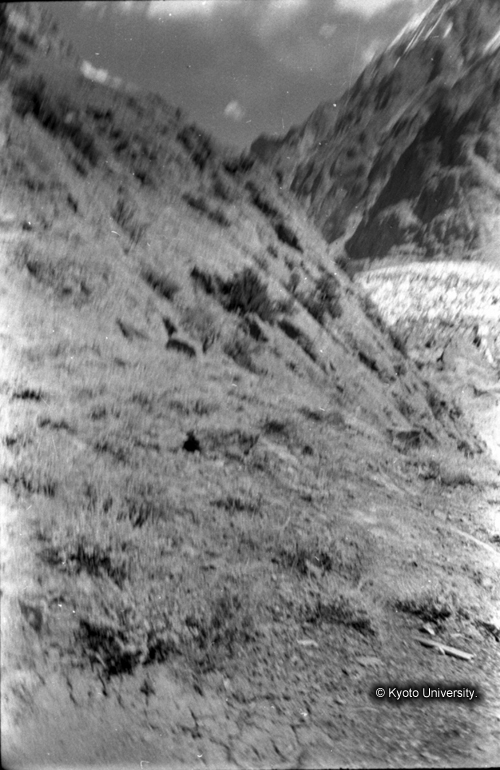 ヒンズークシ地域撮影フィルム : LF-6-1 (1)