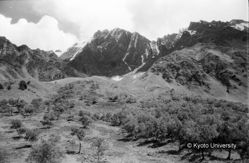 ヒンズークシ地域撮影フィルム : LF-3-11 (1)