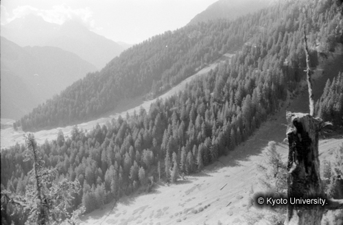 ヒンズークシ地域撮影フィルム : LF-2-12 (1)