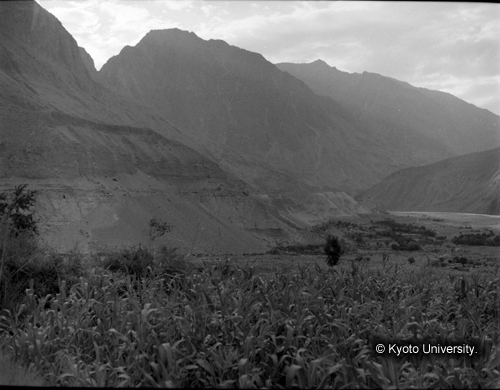 ヒンズークシ地域撮影フィルム : HF-3-7 (1)