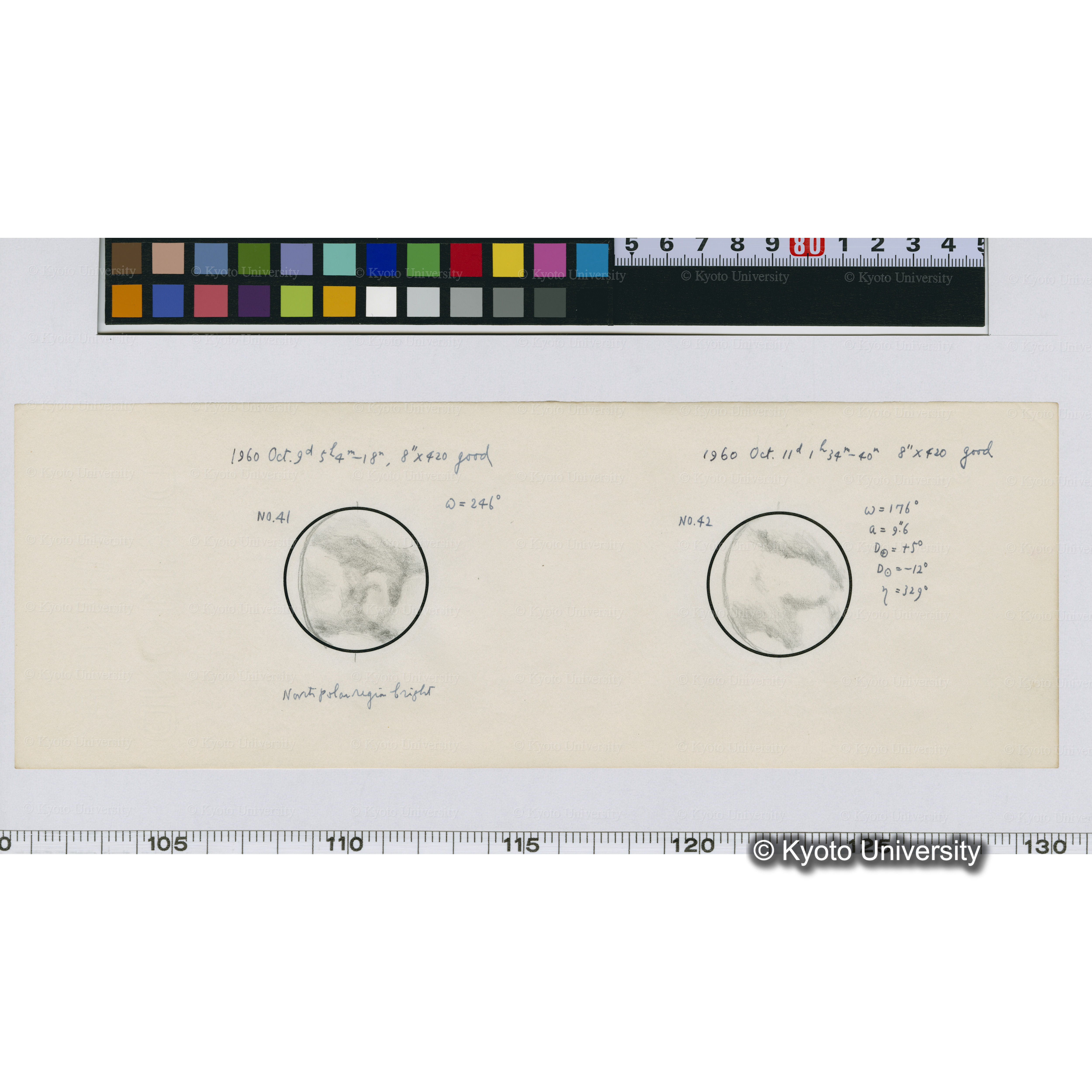 No.41, No.42 (1)