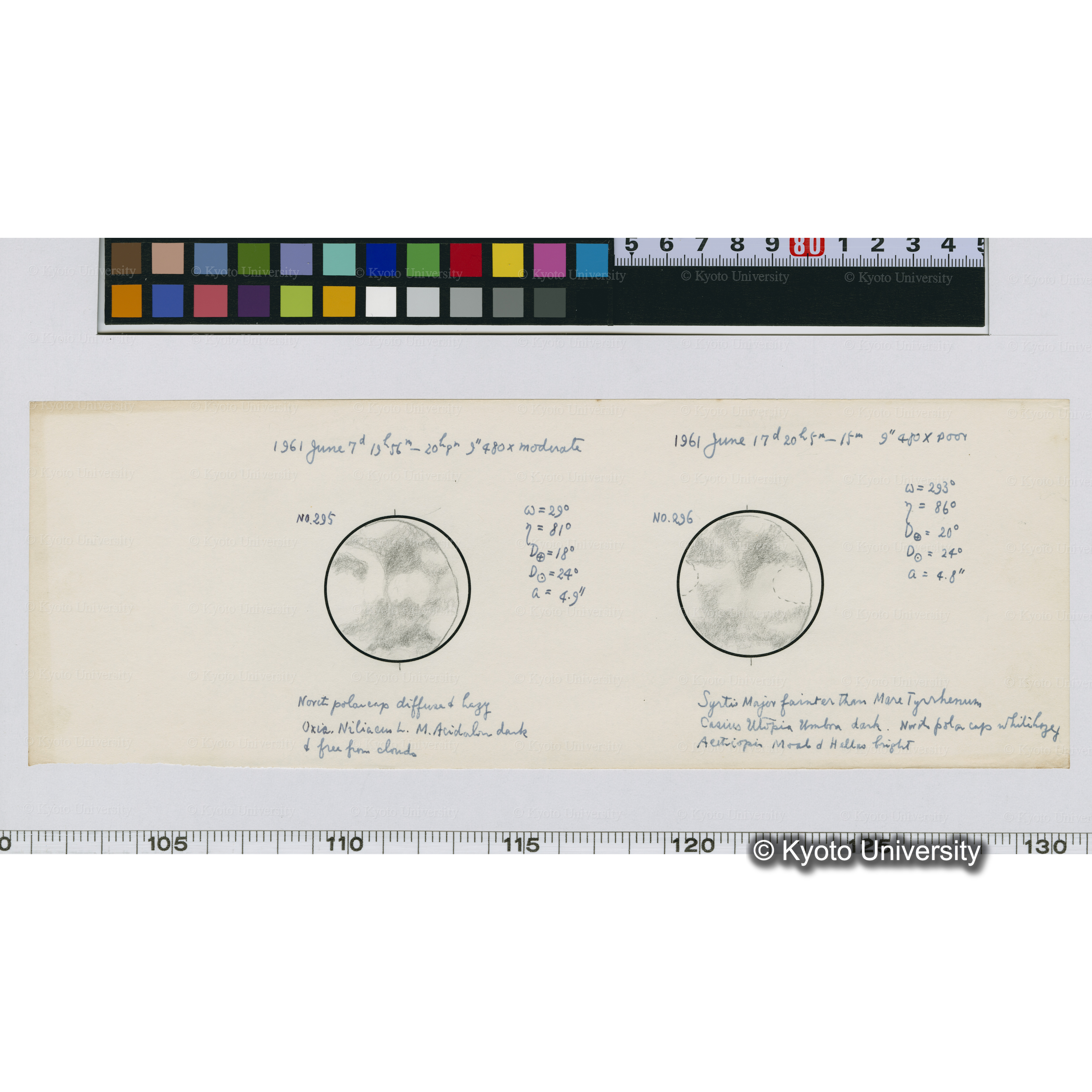 No.295, No.296 (1)