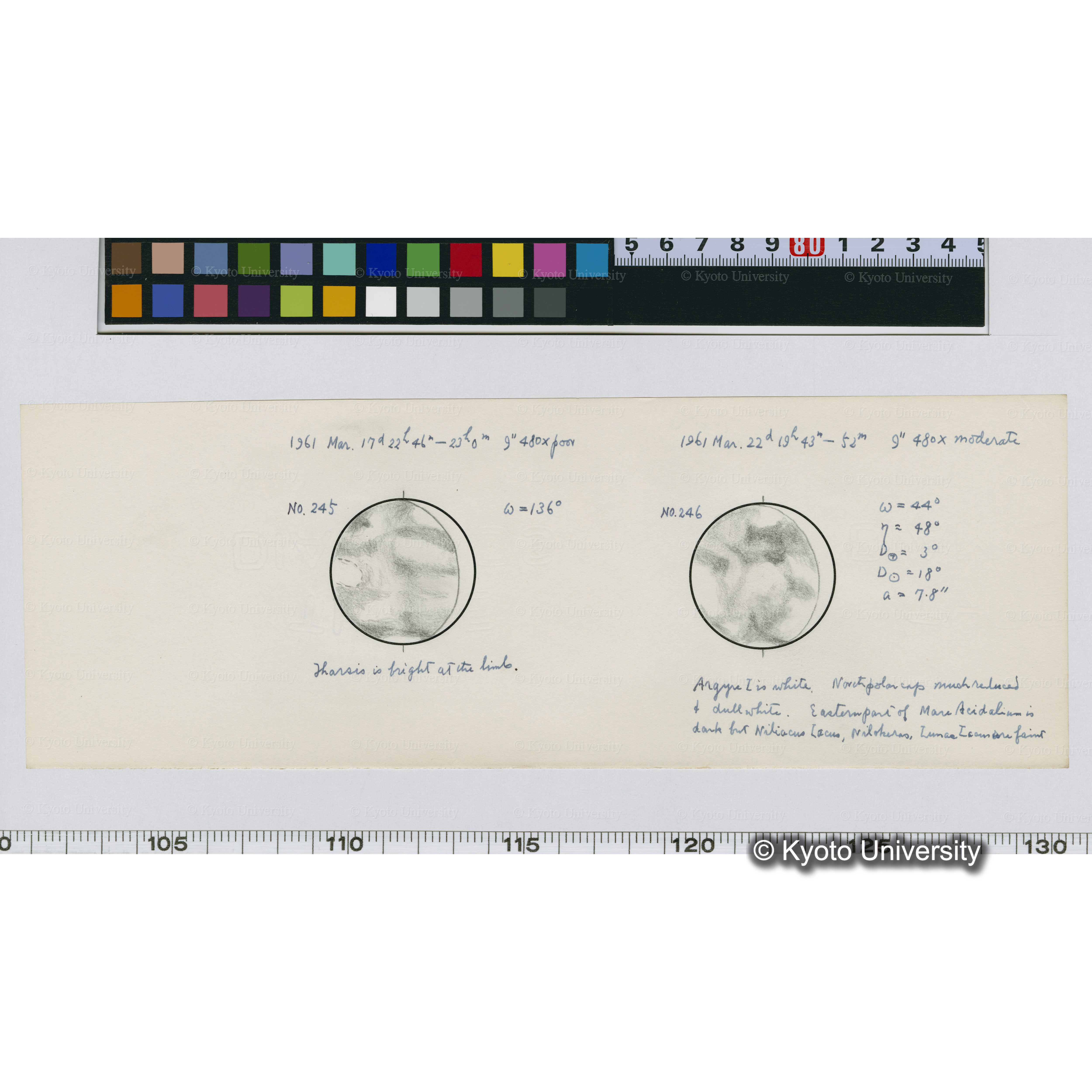 No.245, No.246 (1)