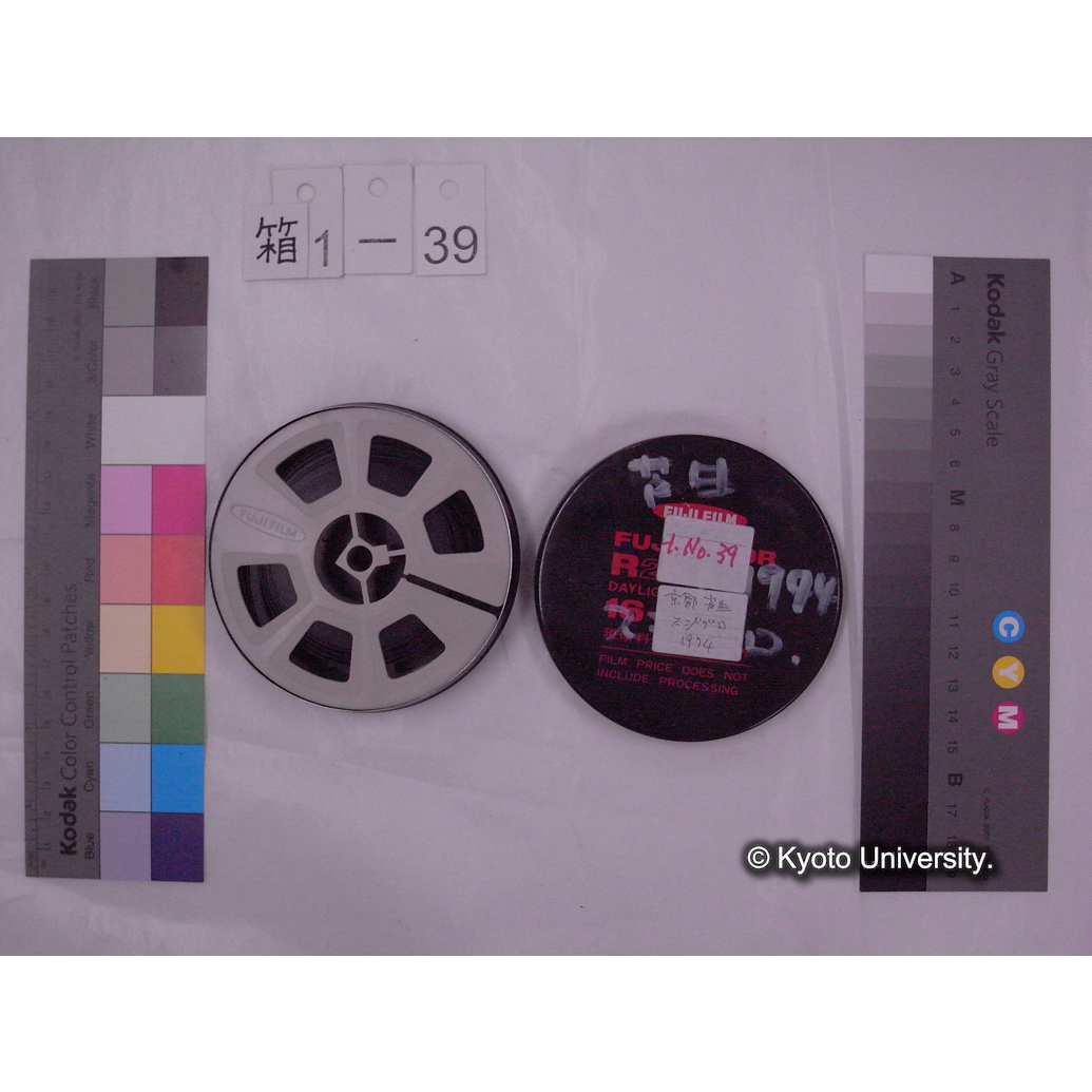 [16mm映画フィルム] 「H.No.39」芦生 1974 スジグロ [京都北山芦生.] (2)