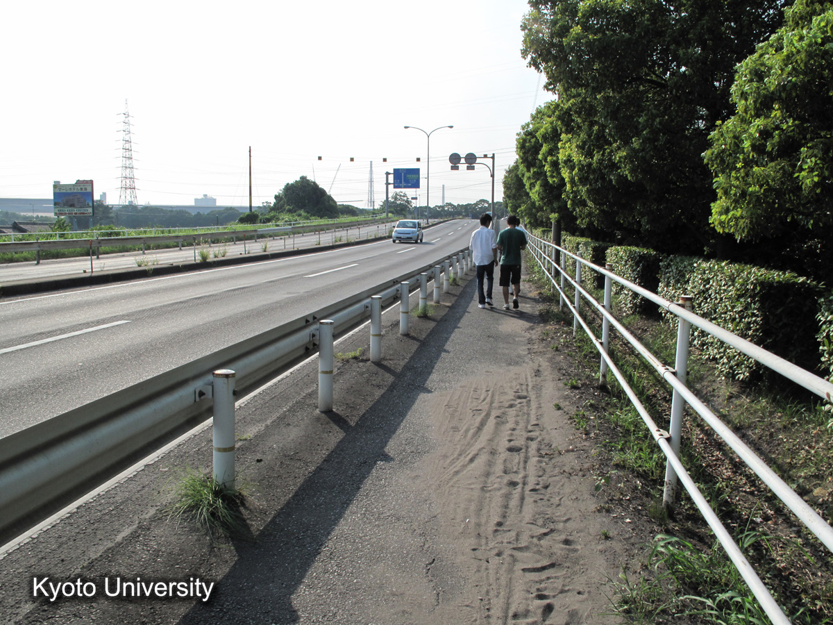 上野横須賀海岸（2010） (1)