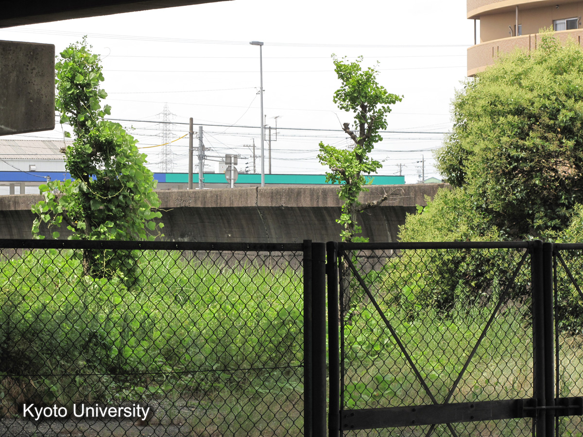 四日市管内　富田浜（2010） (1)