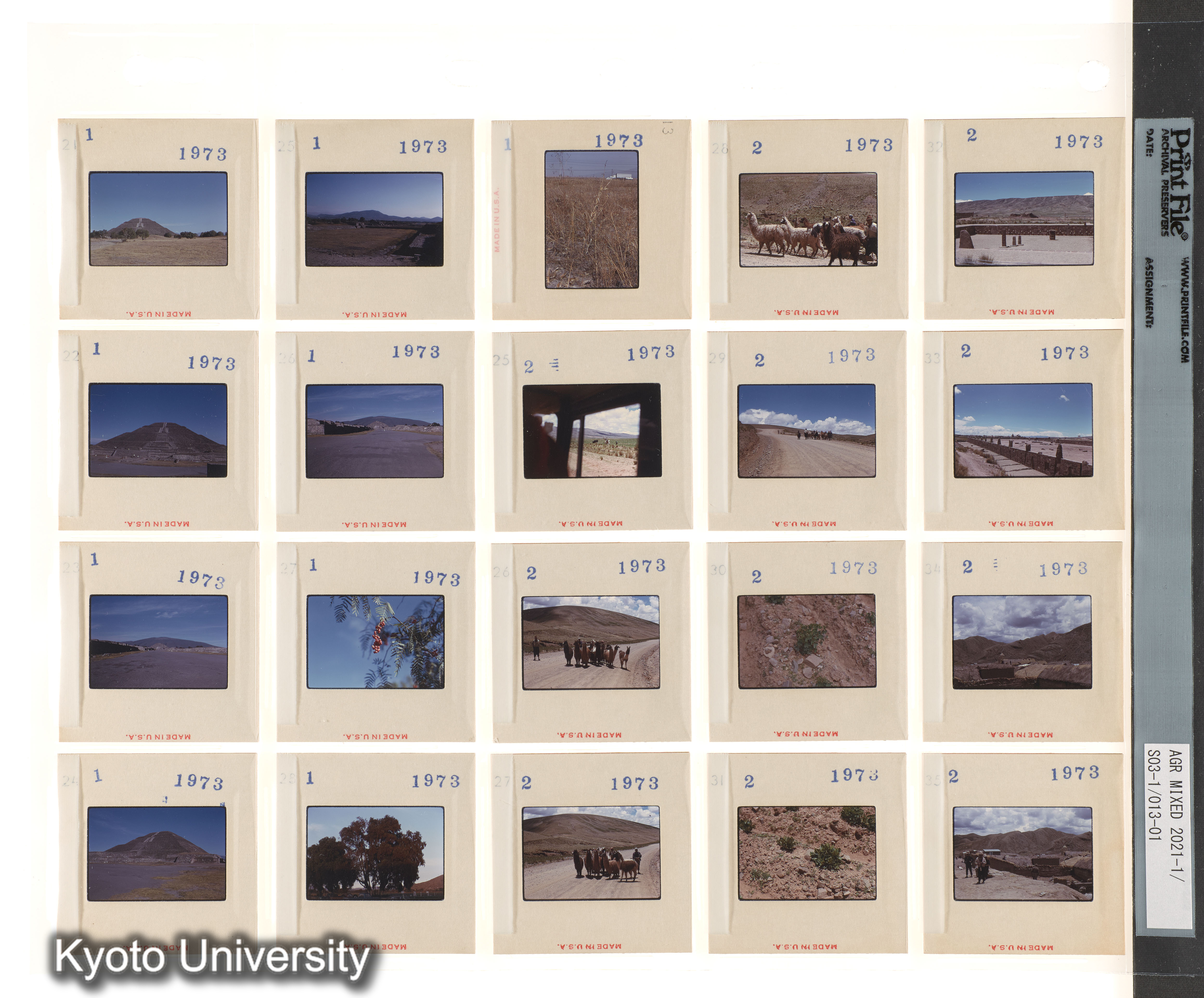 ECAL (2)