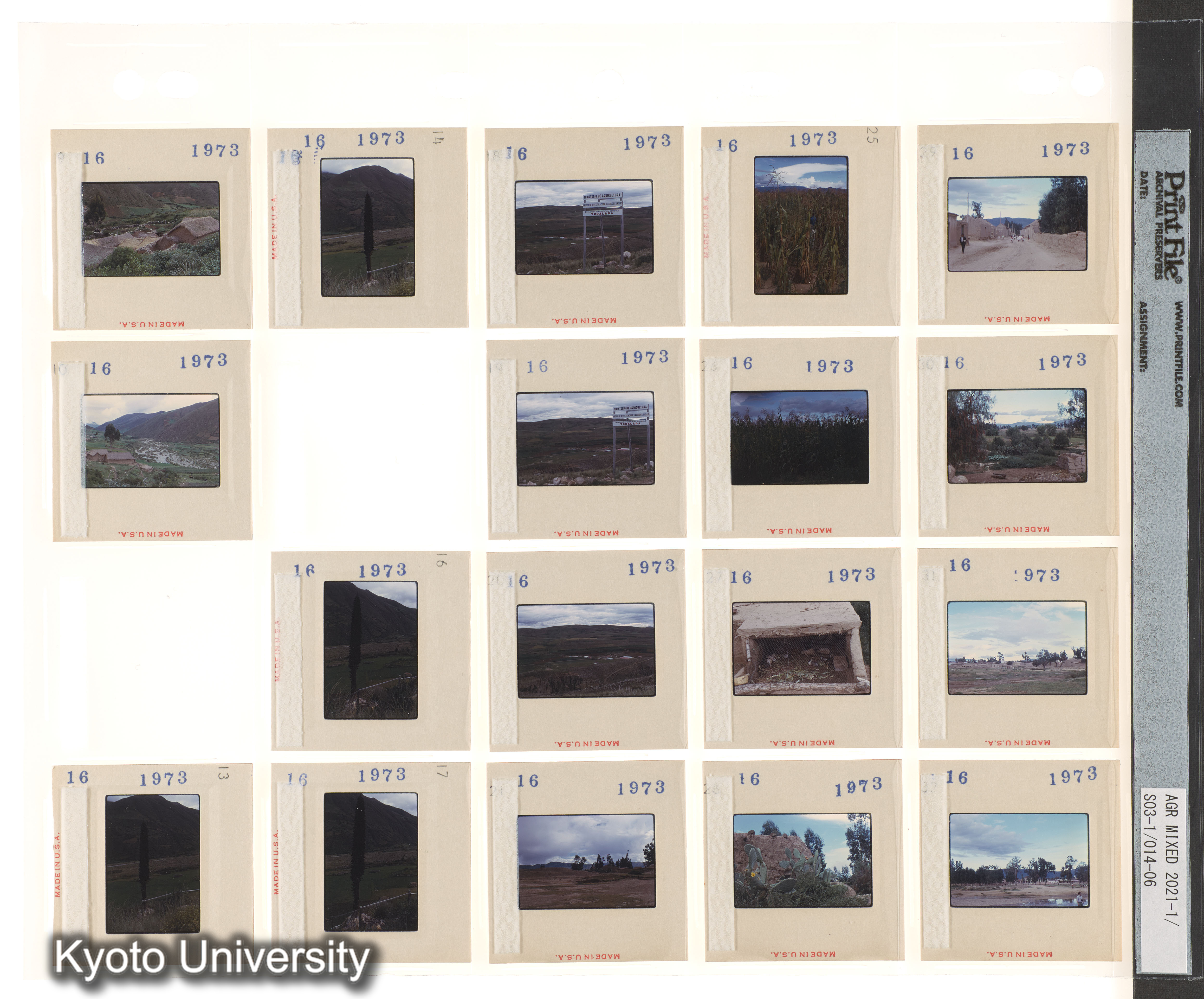 ECAL (1)