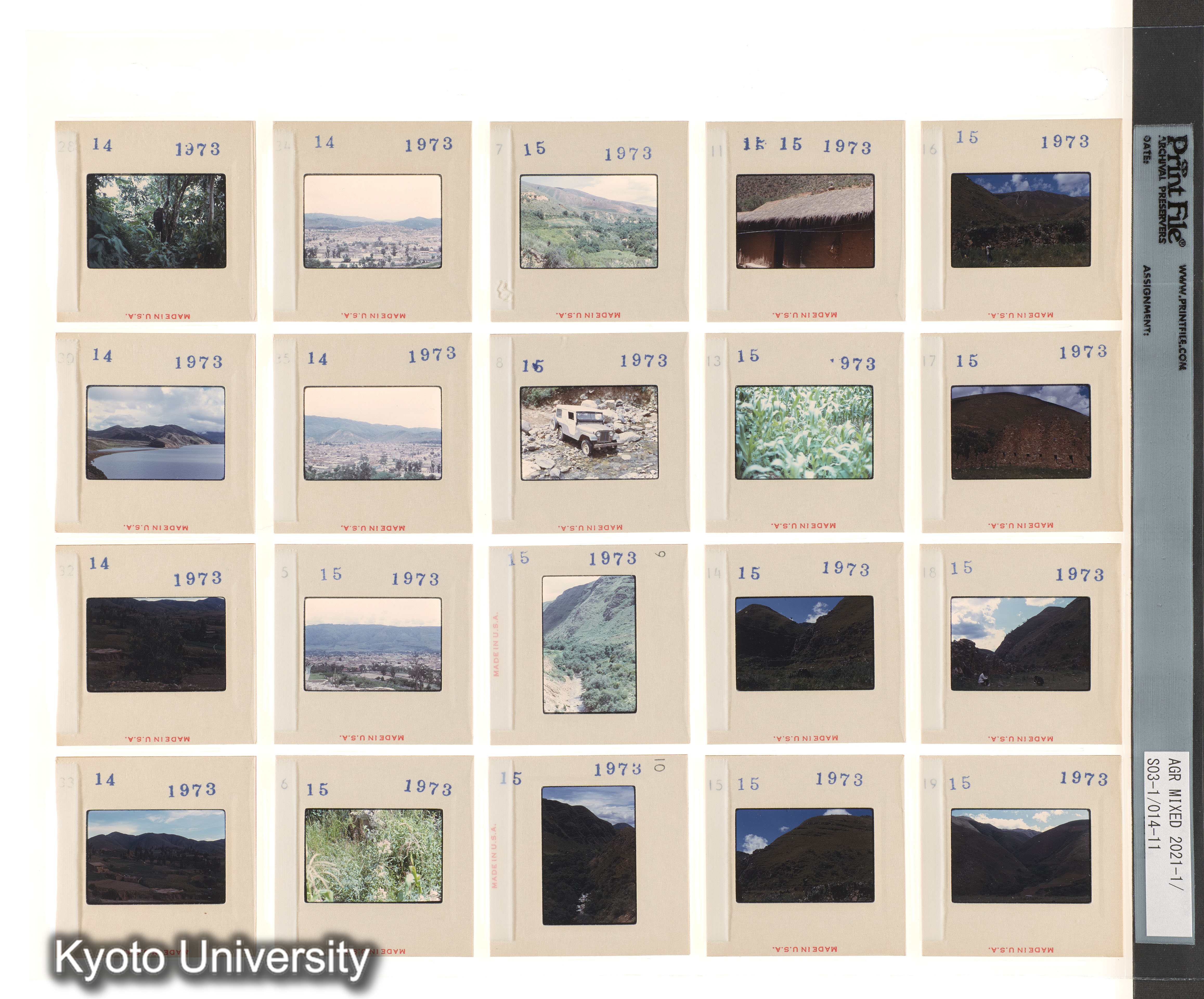 ECAL (3)