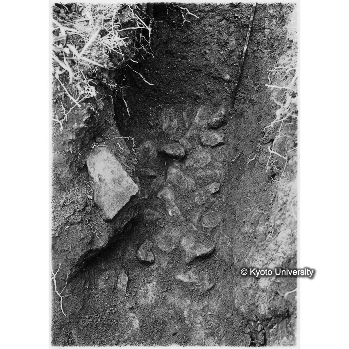 [紙焼き写真]古墳羨道下底敷石一部状態 (1)