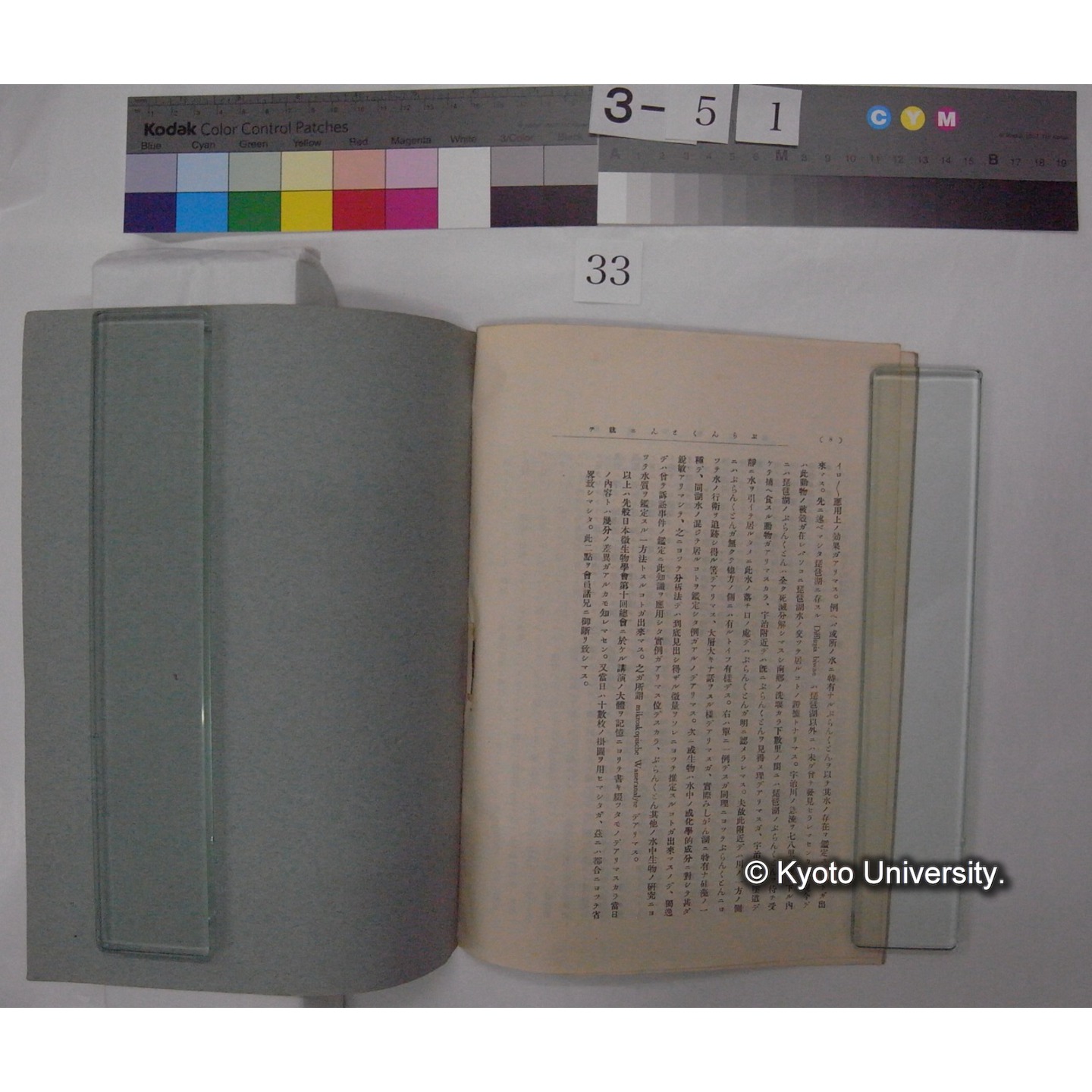 ぷらんくとんニ就テ; (特別講演) / 川村多實二述 (日本微生物学会雑誌; 16巻抜刷) (3)