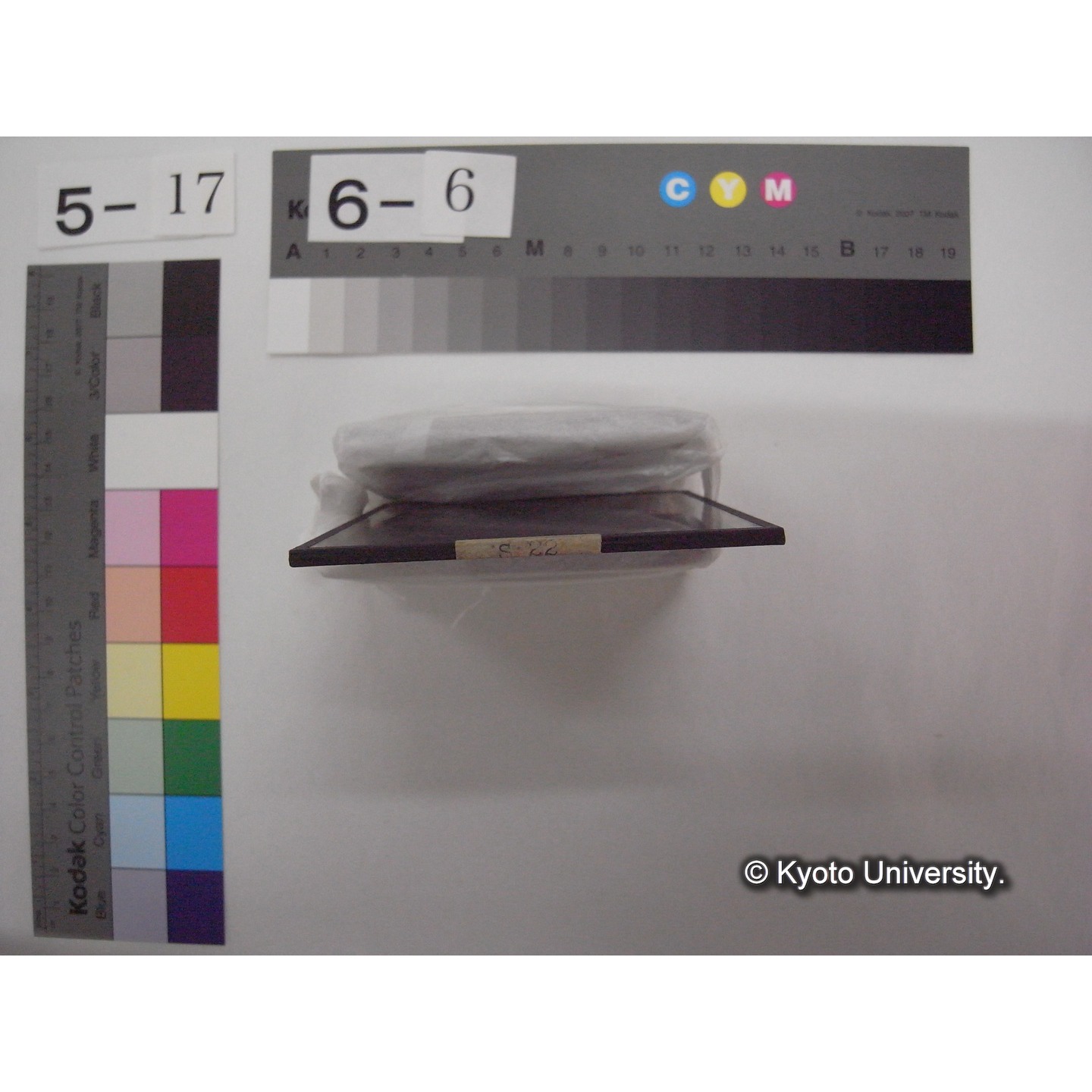 スライド(ガラス種板): S22 Biologische Studien an Seen der Faulhorukette im Berner Oberland von G. Stainer. (2)