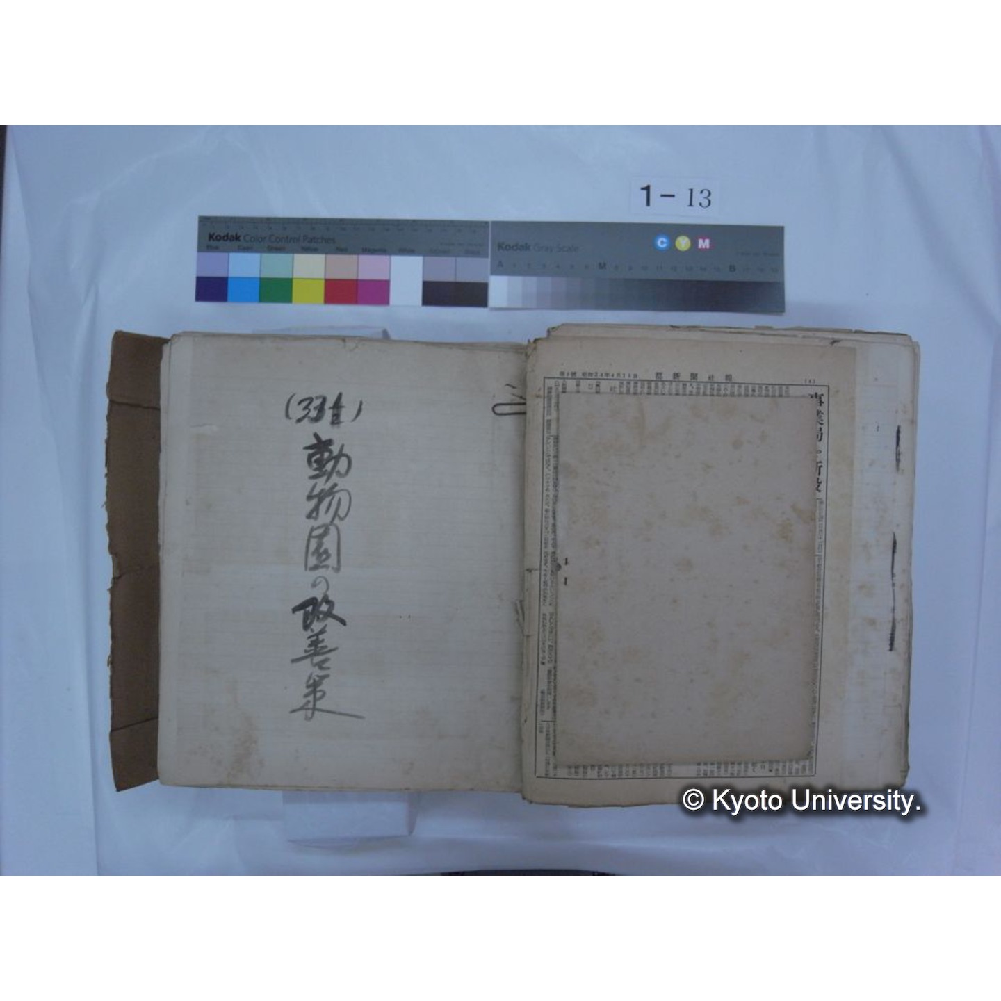 自著旧文 [直筆・著作複写・抜き刷りなど] / 川村多實二 (175)