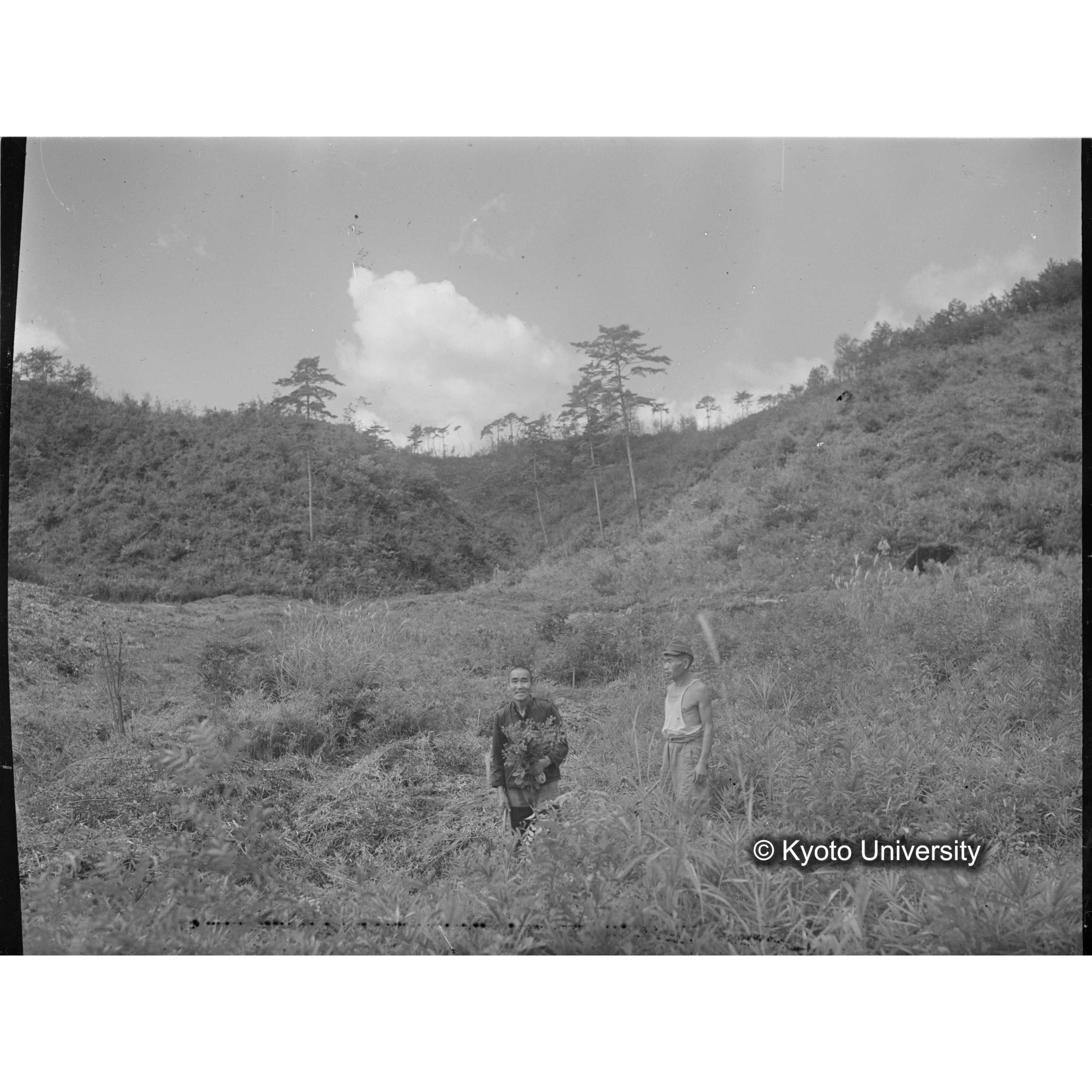 〔設定当時の第二苗圃候補地〕 (1)