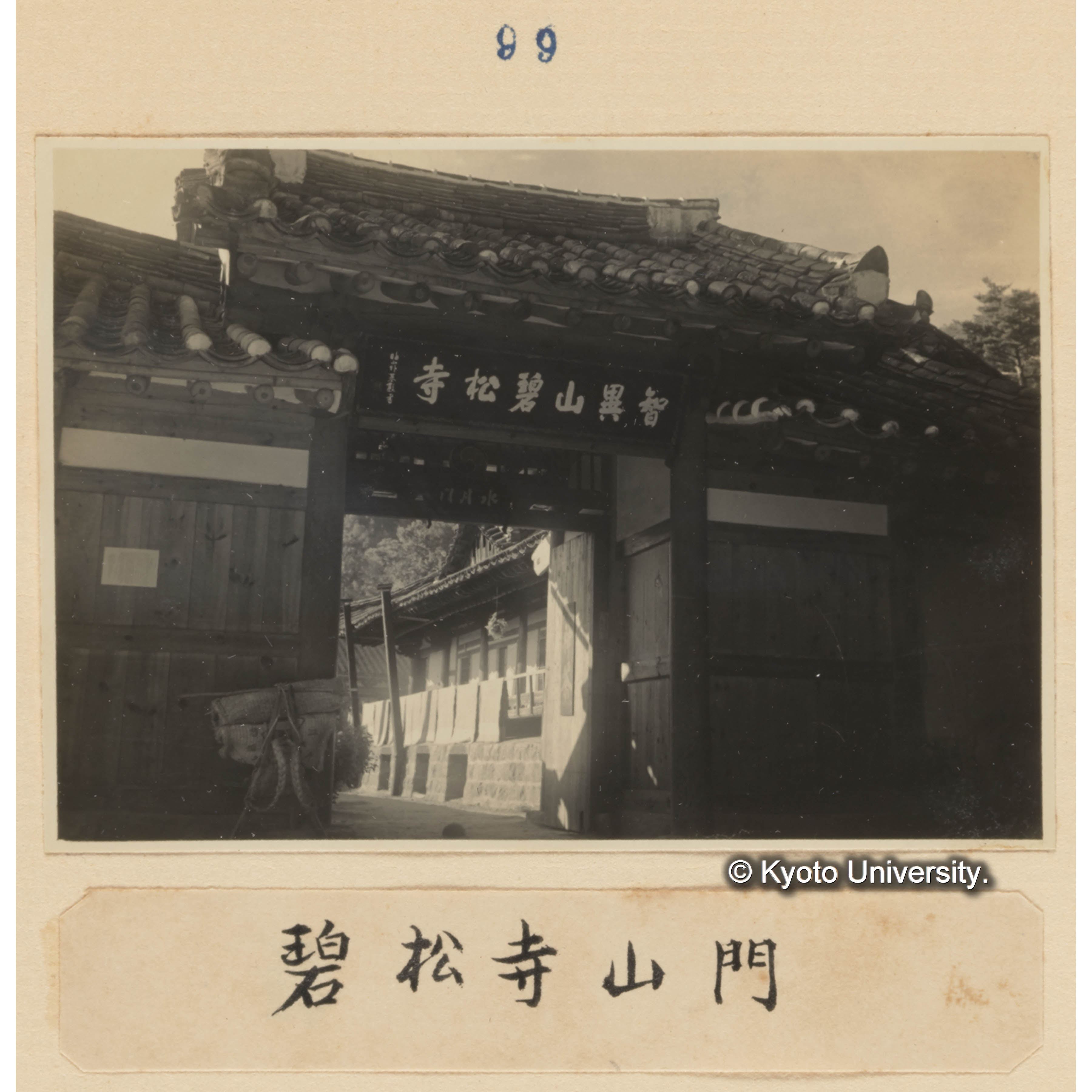 碧松寺山門 (1)