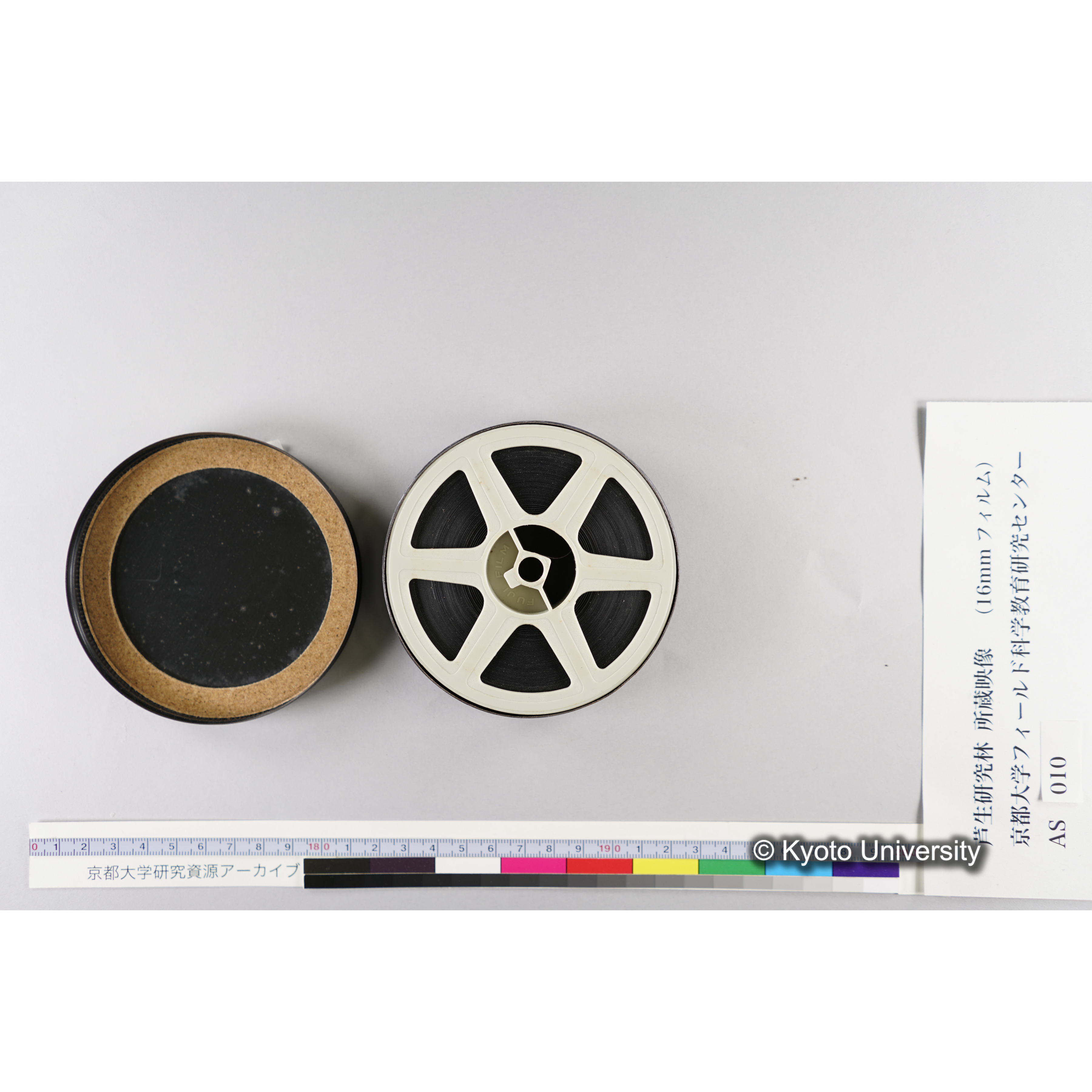 〔渓流、卵塊、長治谷学生宿舎、由良川橋崩落〕 (1)