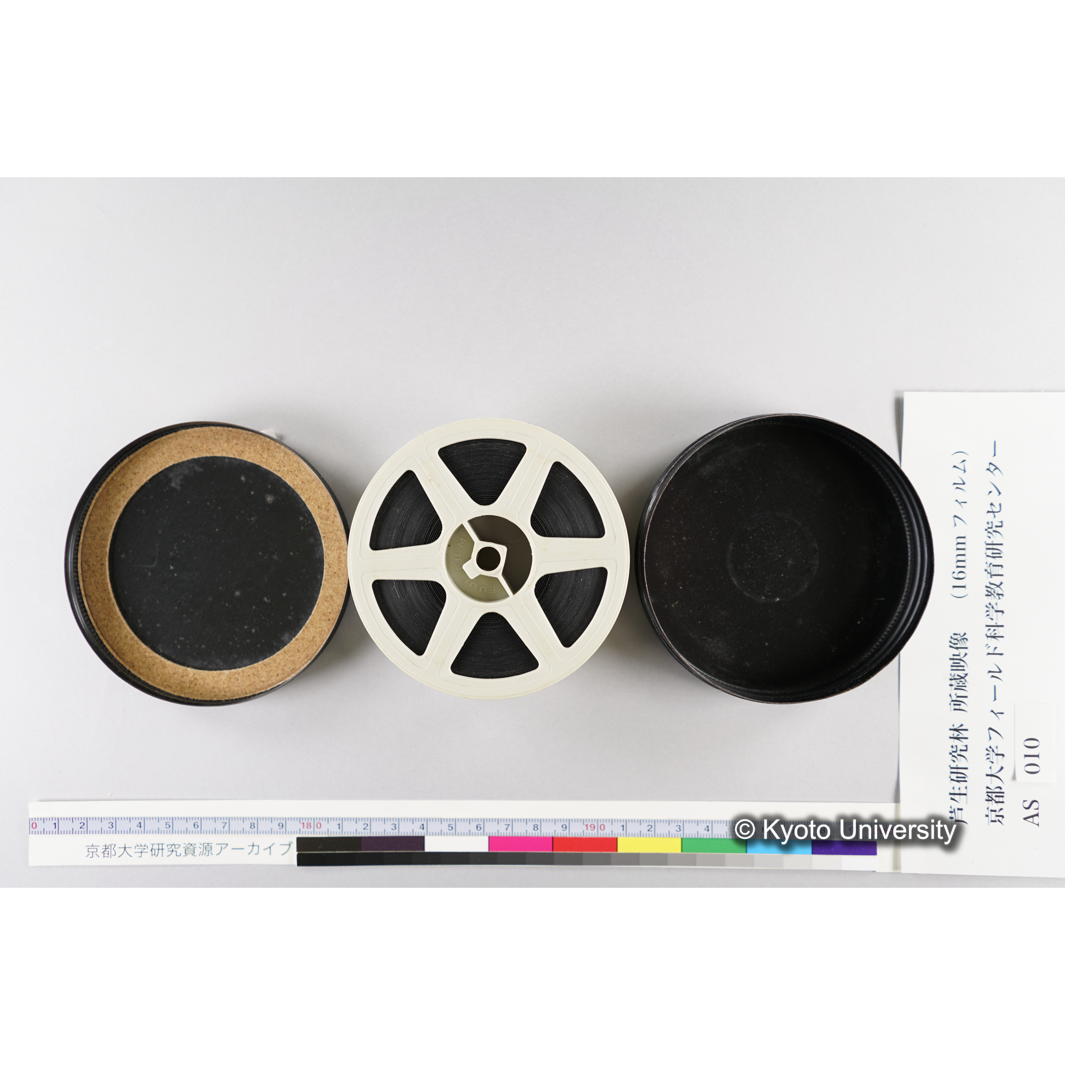 〔渓流、卵塊、長治谷学生宿舎、由良川橋崩落〕 (2)