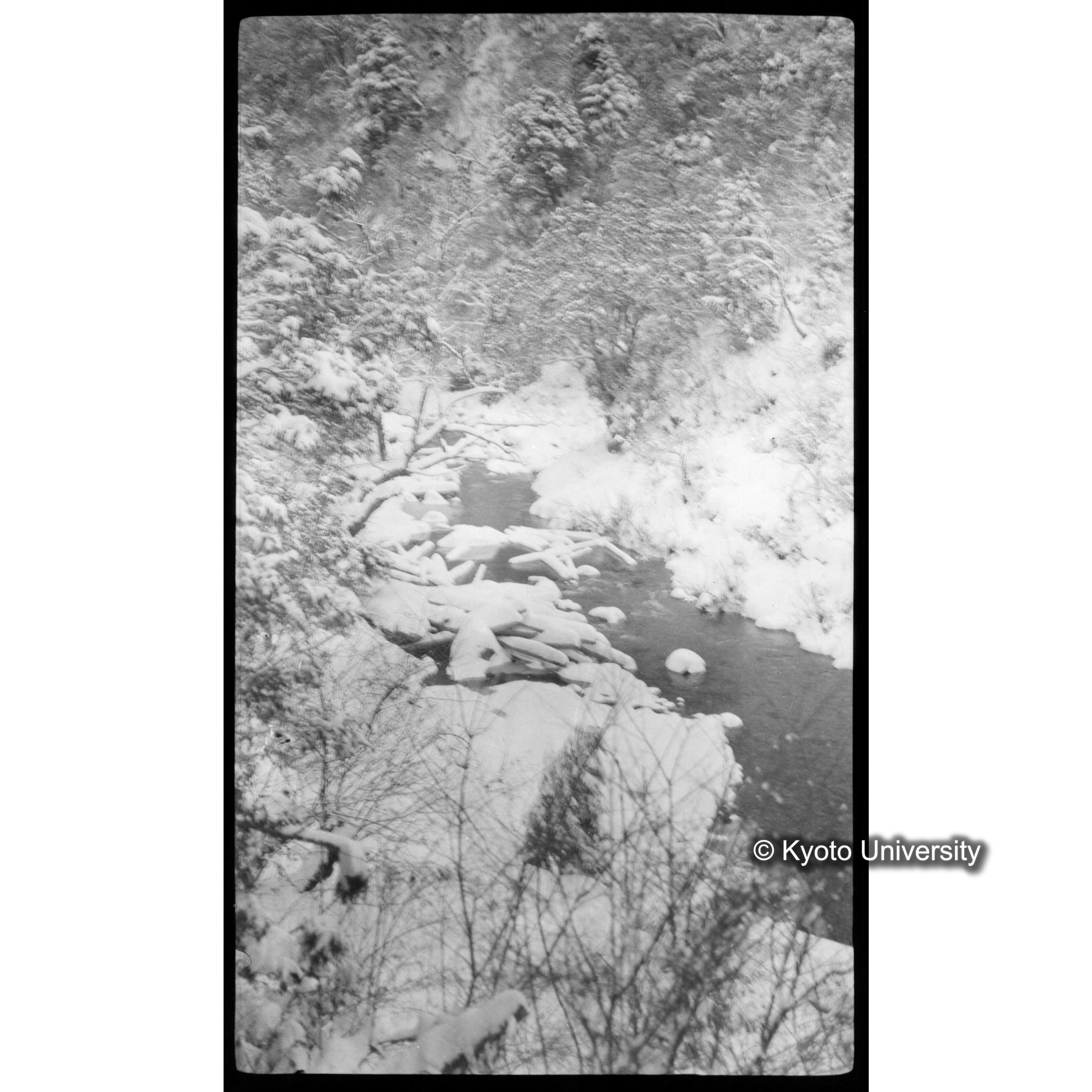 ＜雪川＞ (1)
