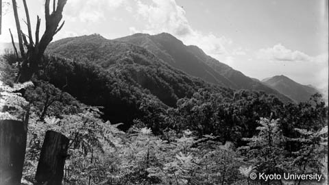 京都大学演習林関係資料, 1928-1986.  Kyoto University Forests Collection, 1928-1986., ガラス乾板K-14.