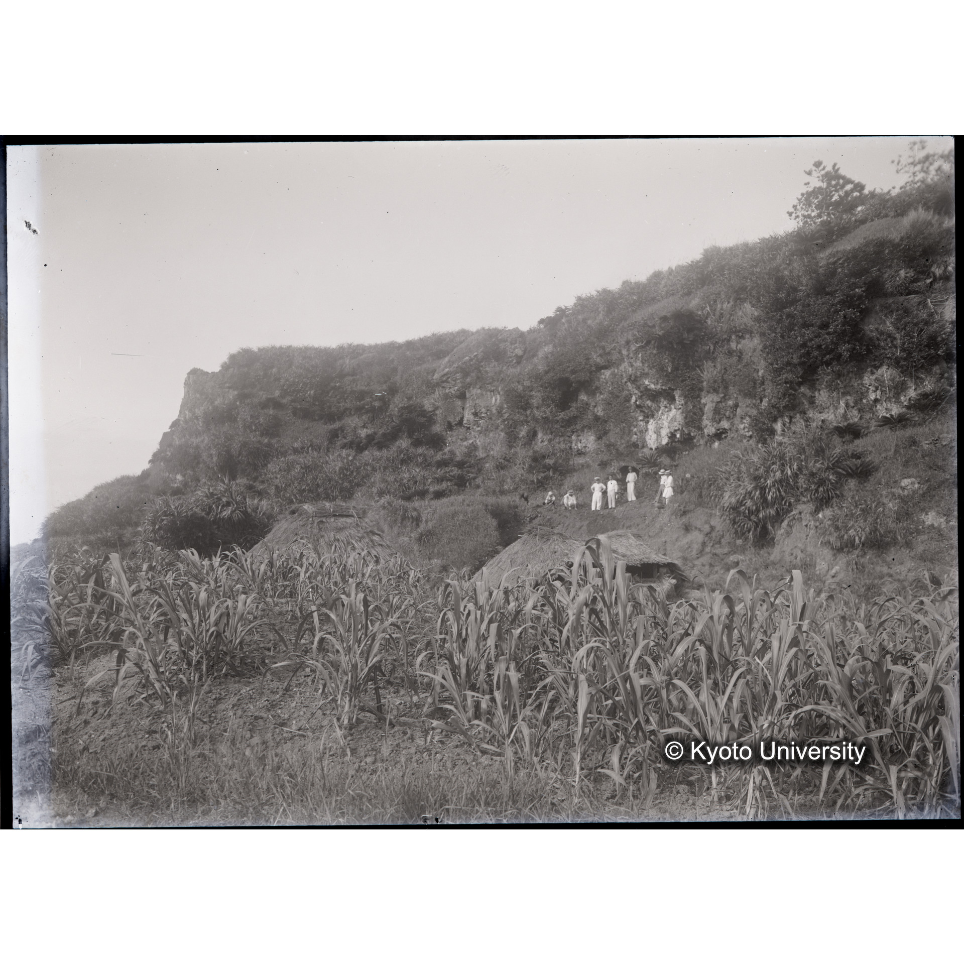 発掘風景4 (1)
