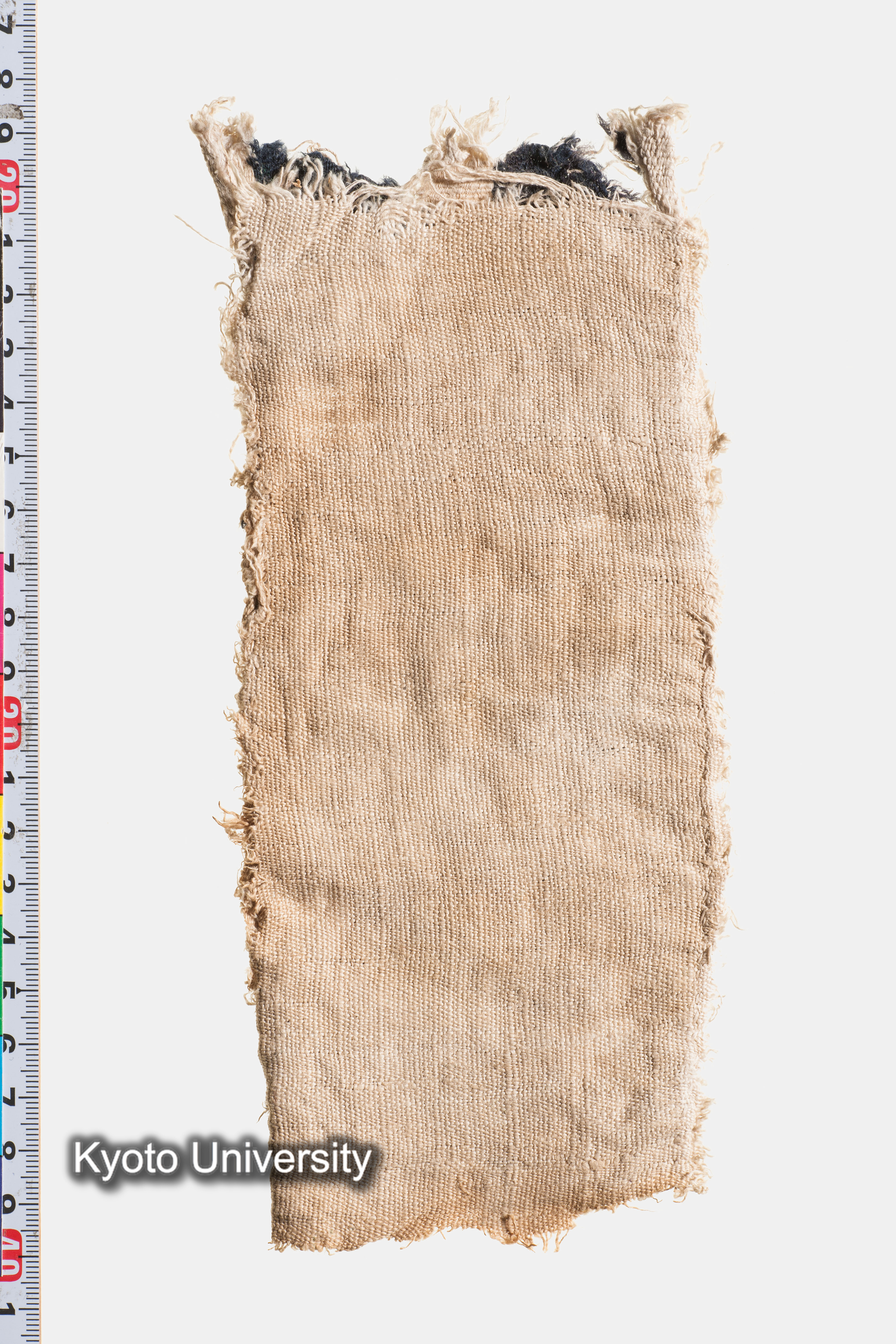 07-480_Oxyrhynchus031f_p019-020 (1)