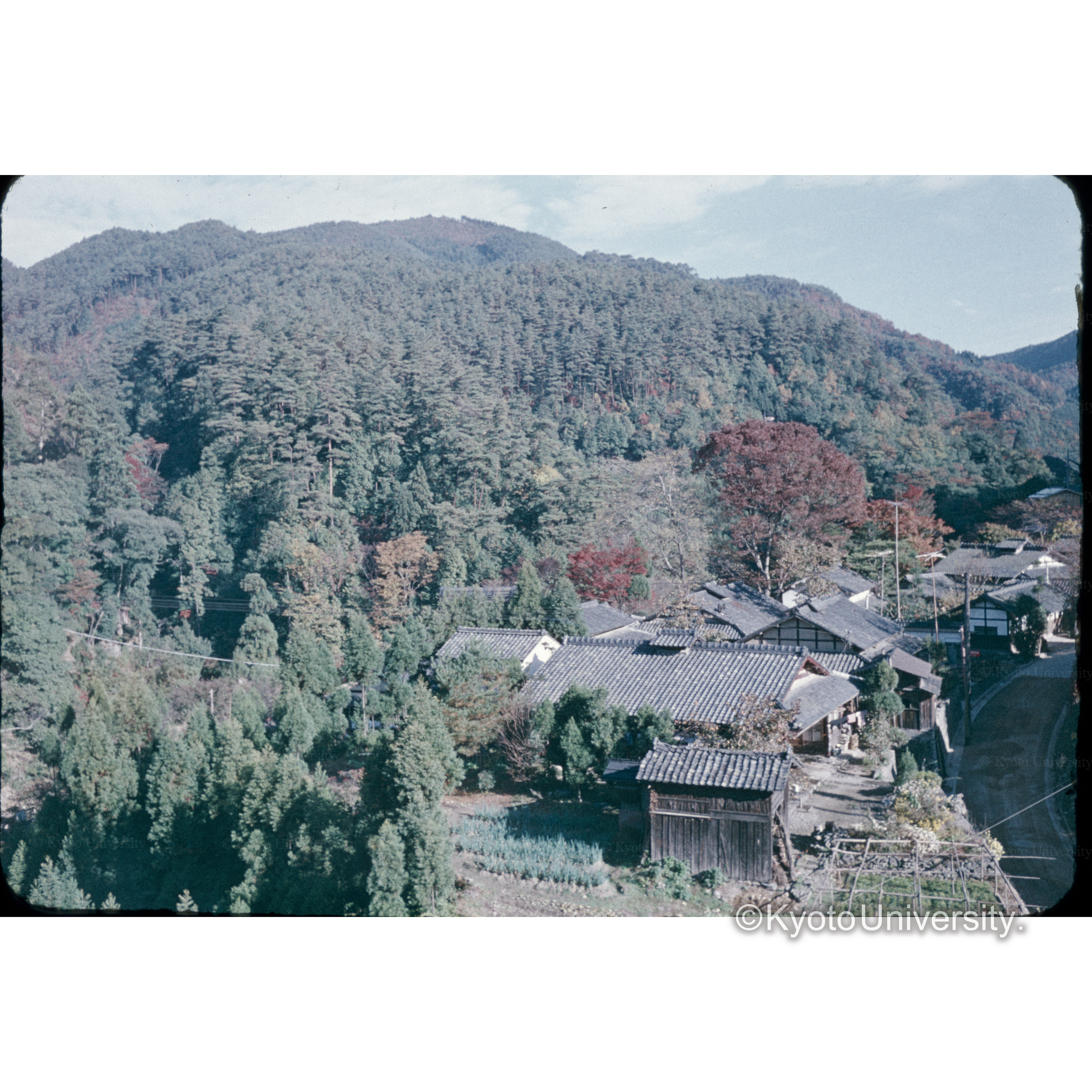高尾 (1)