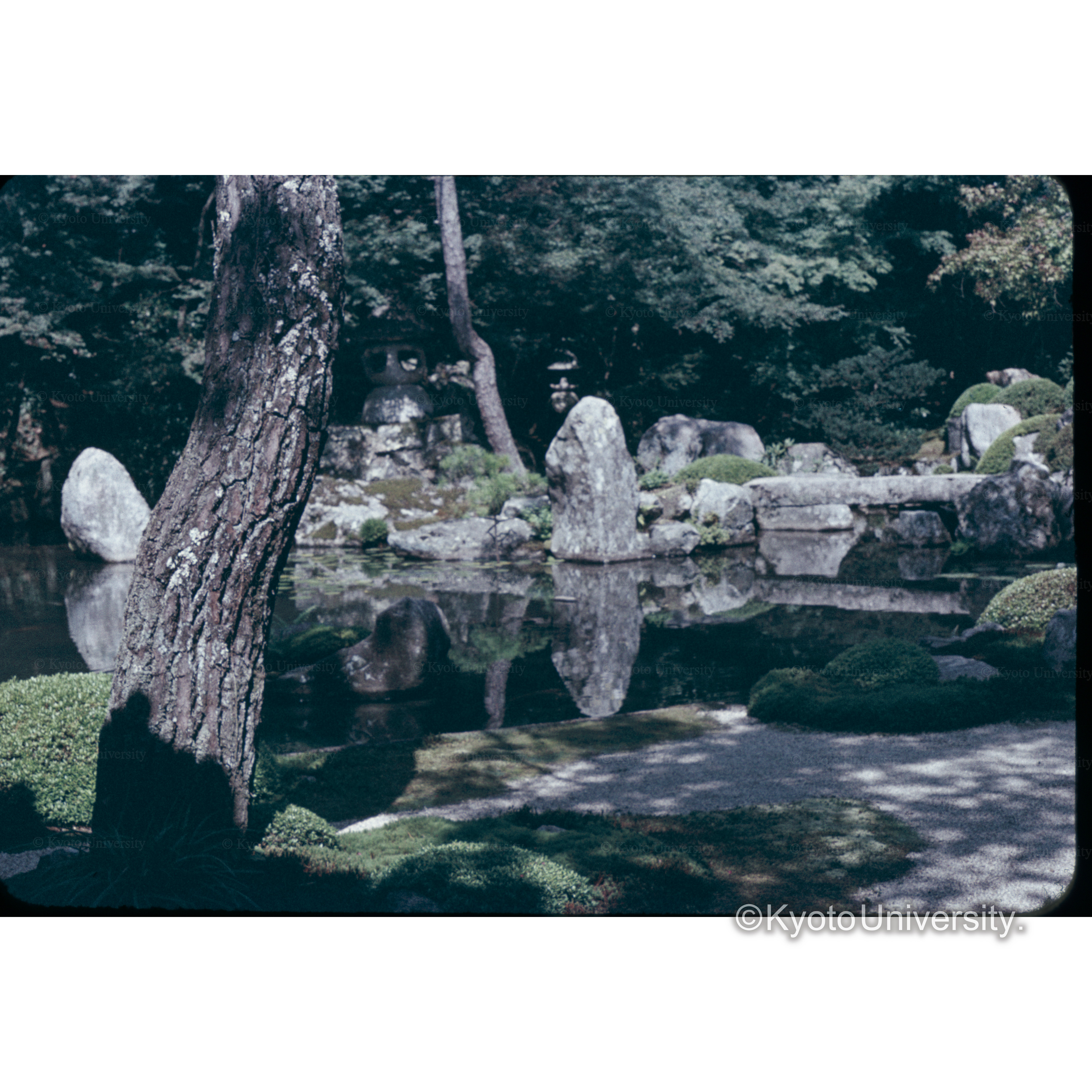 レンゲ寺 (1)