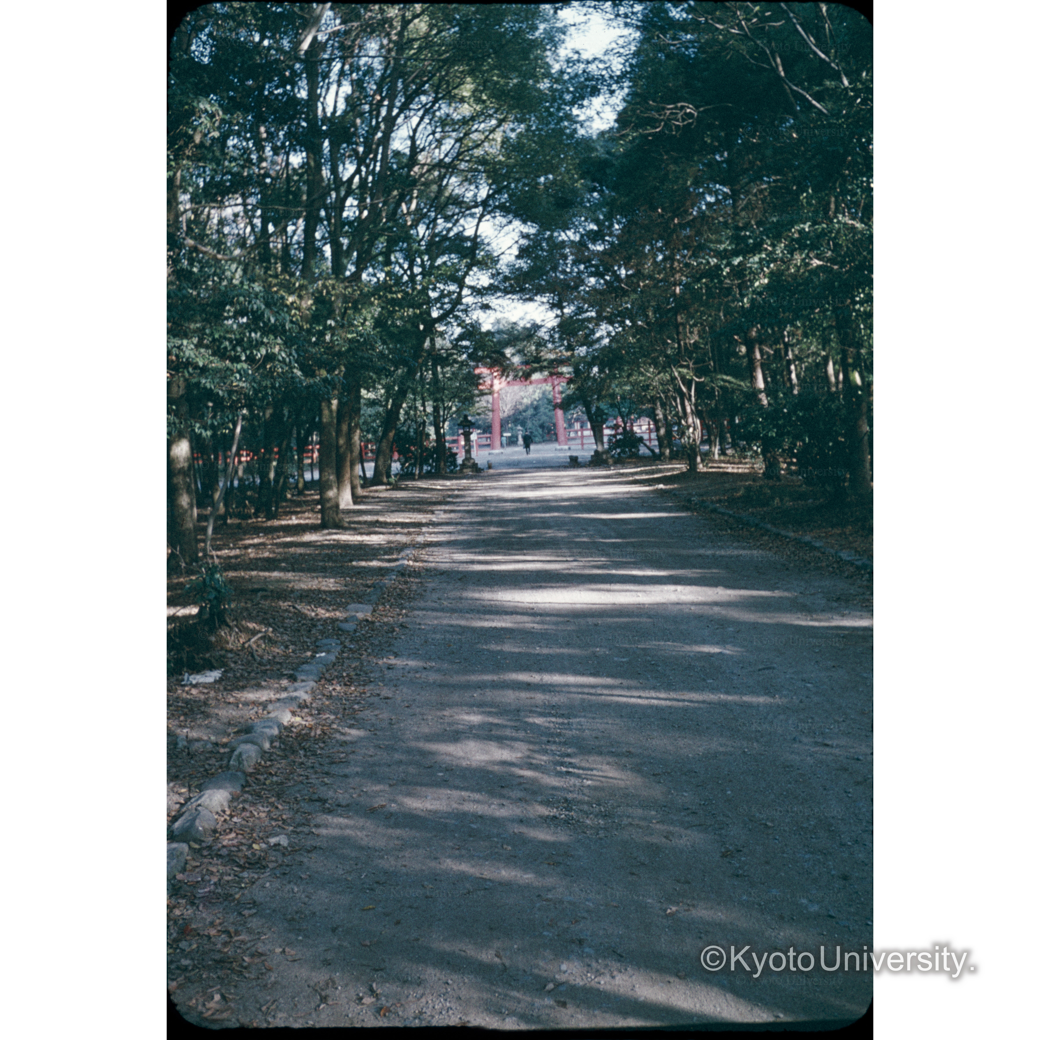下賀茂神社 (1)