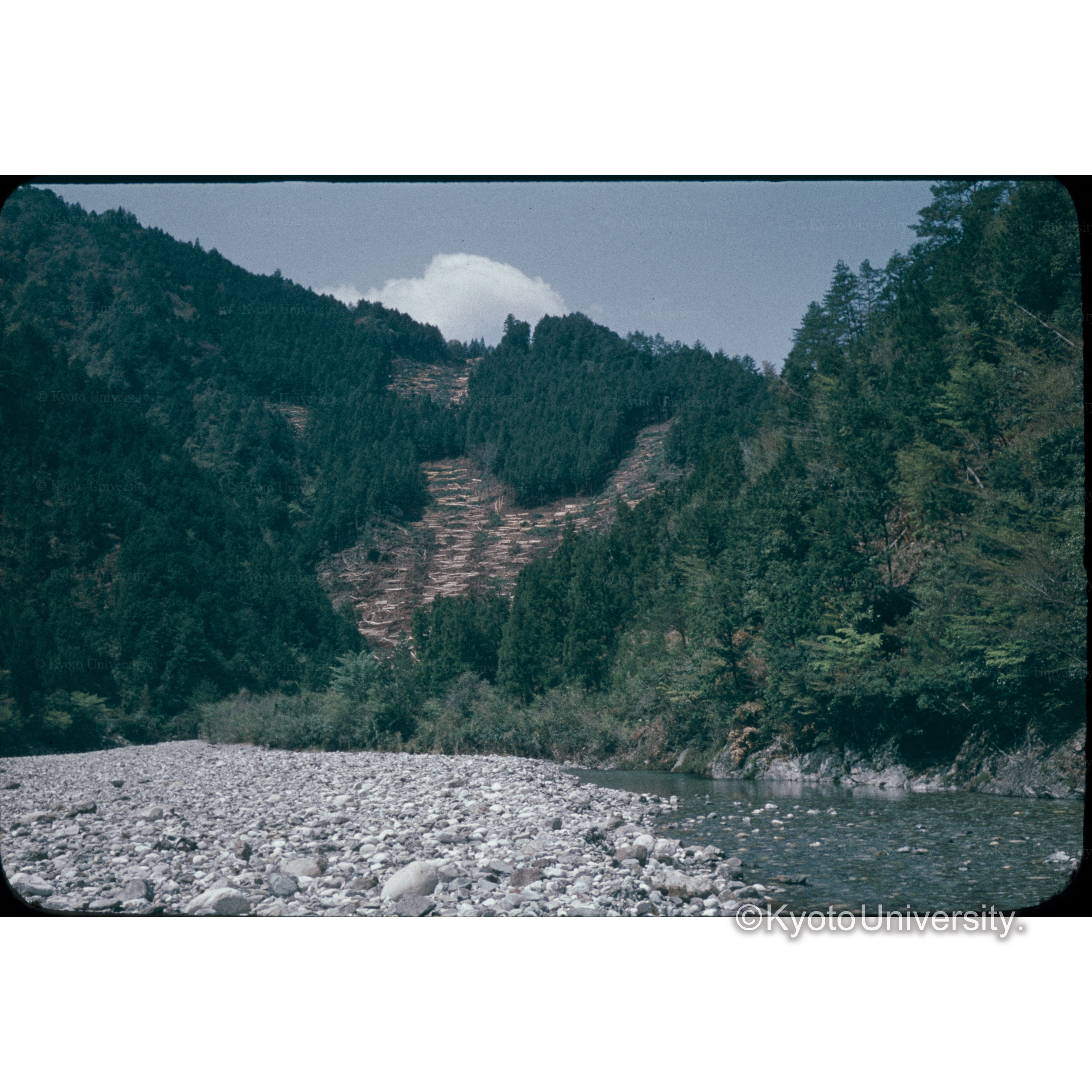 下北山 (1)