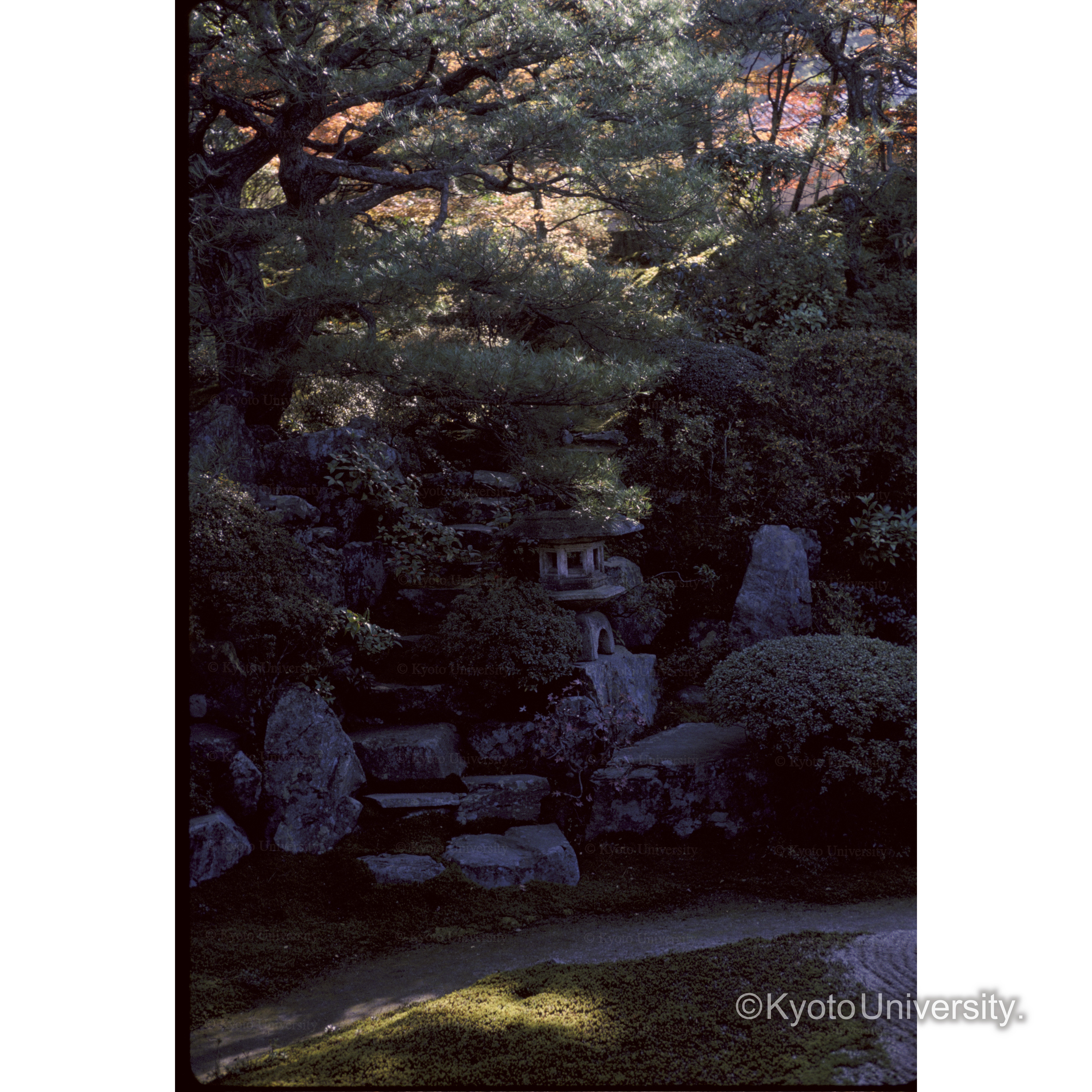 霊鑑寺 (1)