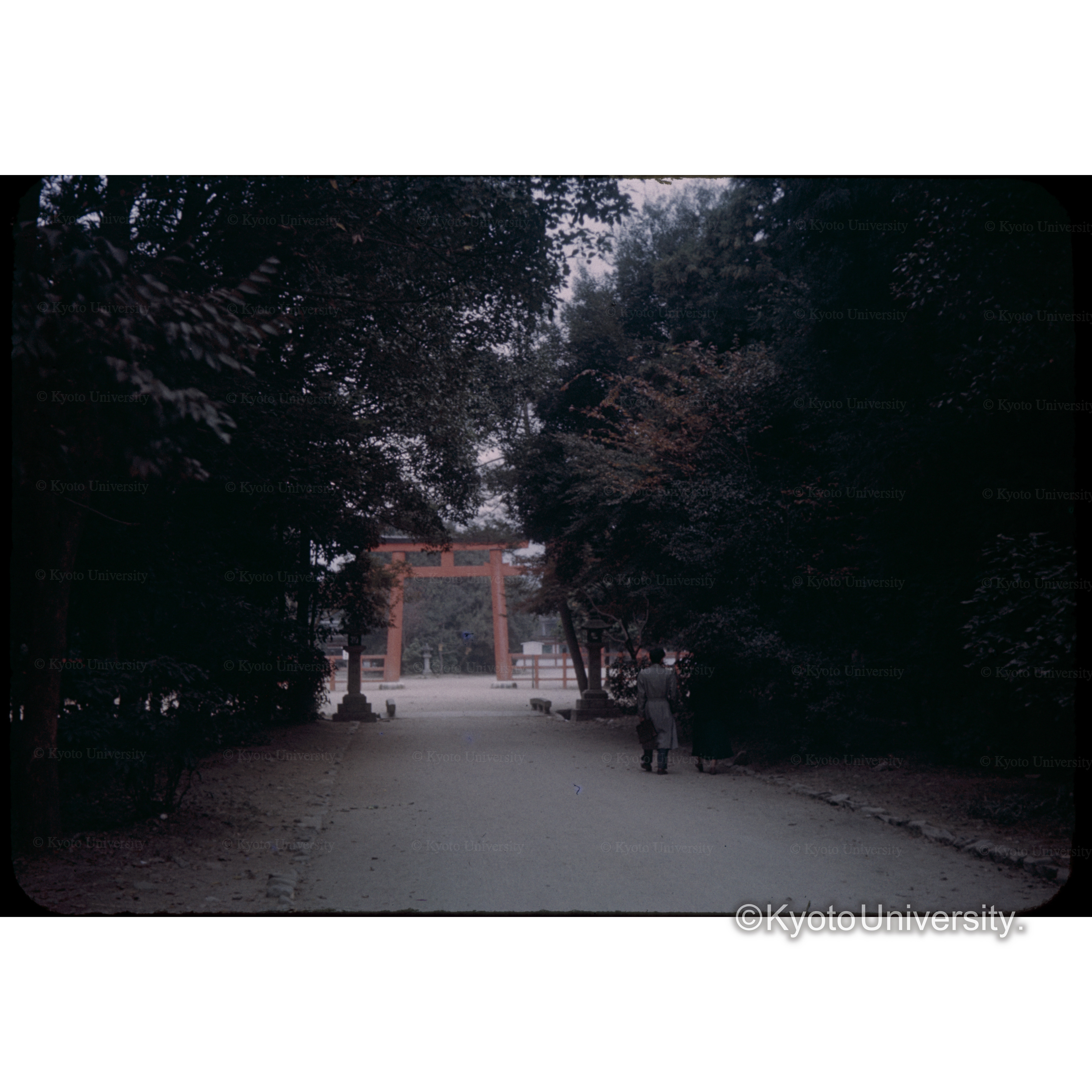 下賀茂神社 (1)