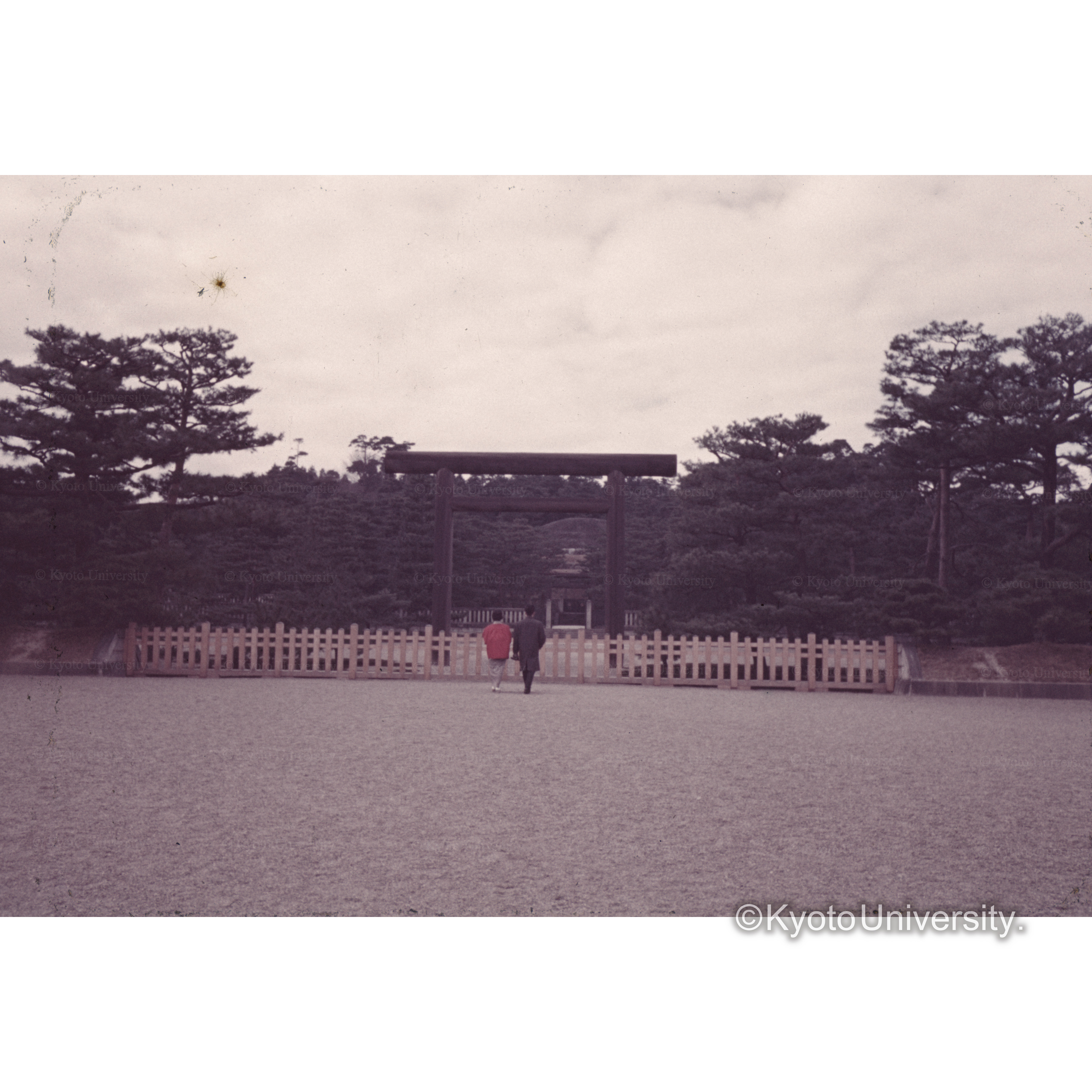 〔鳥居〕 (1)