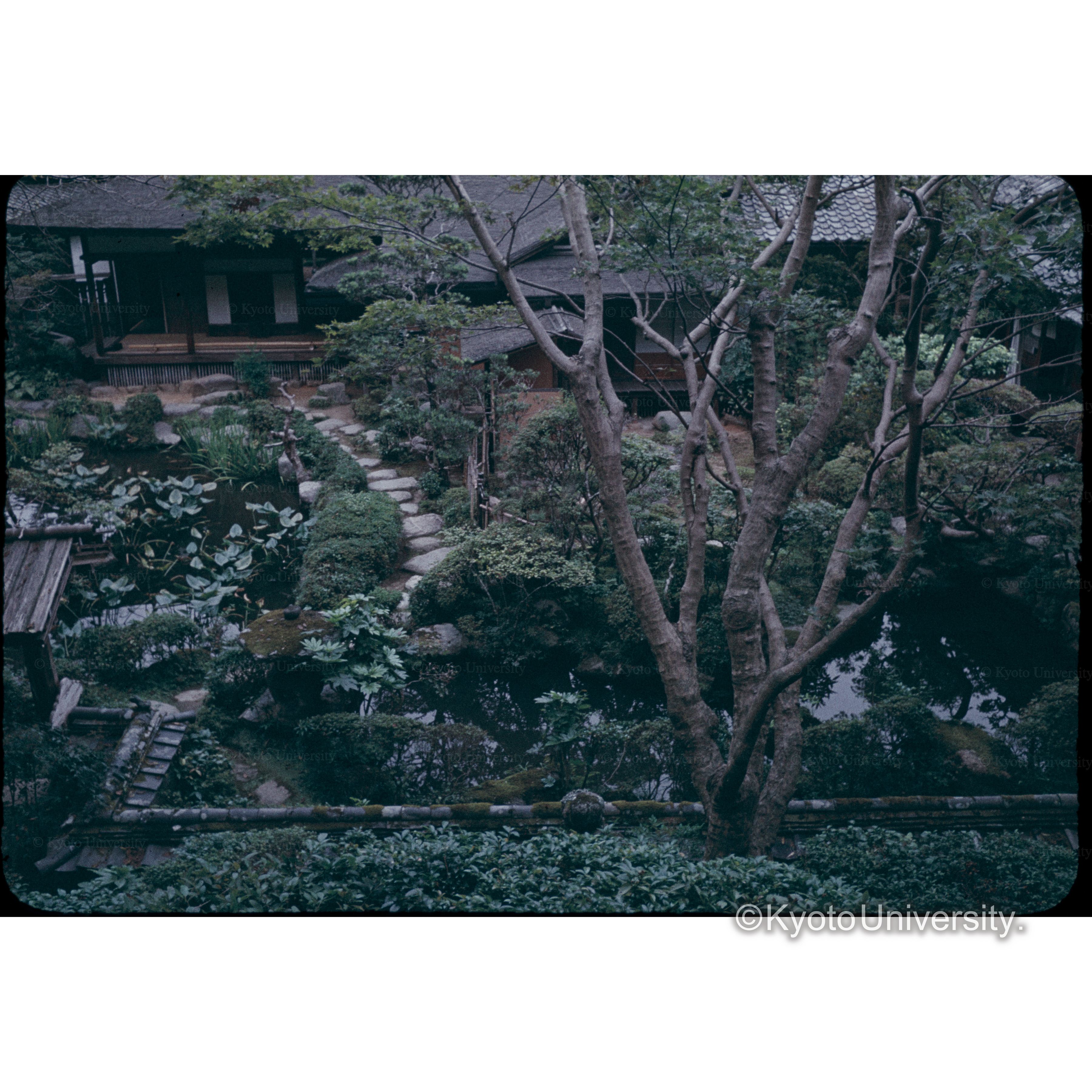 タイマ寺 (1)