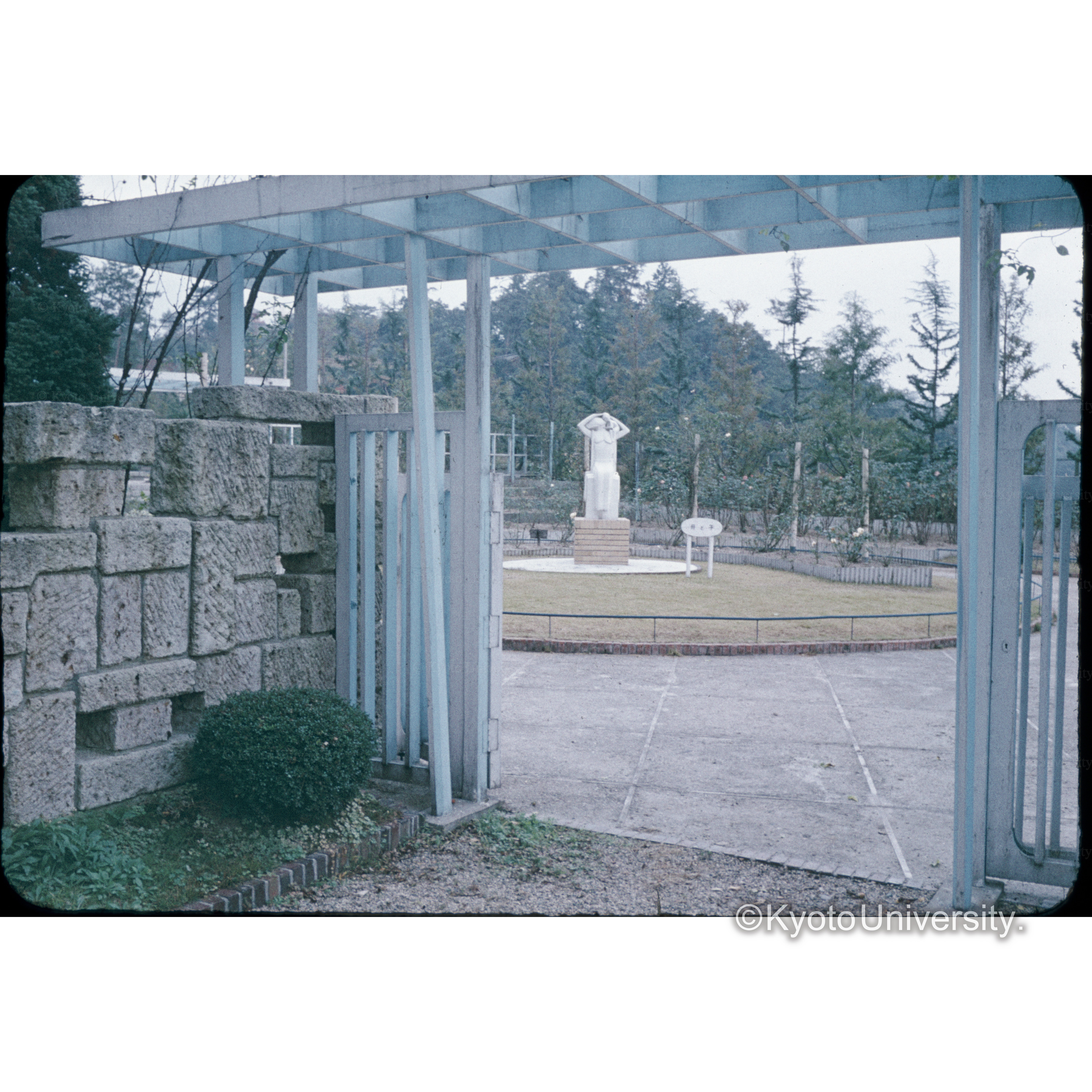 霊山寺バラ園 (1)