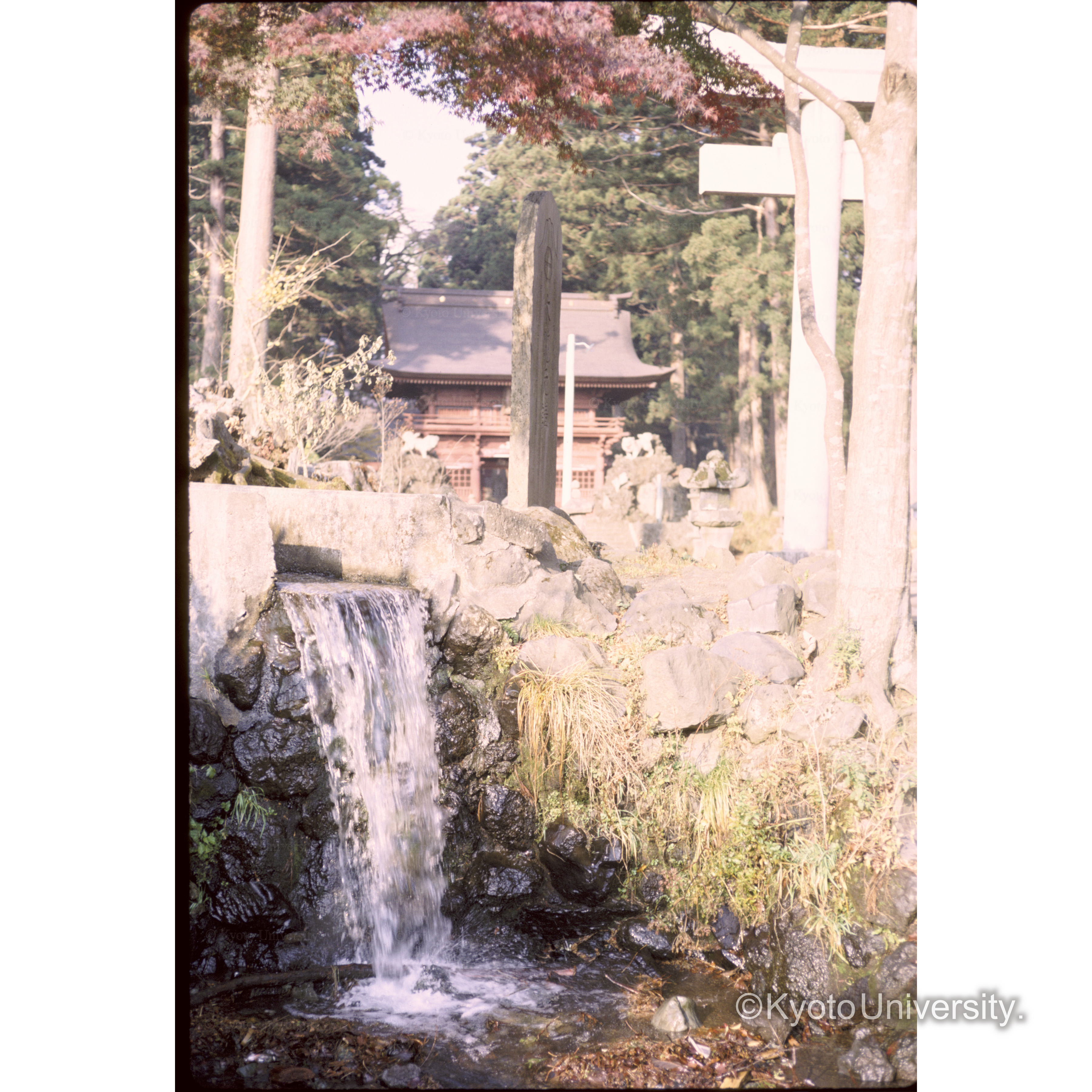 フジ神宮 (1)