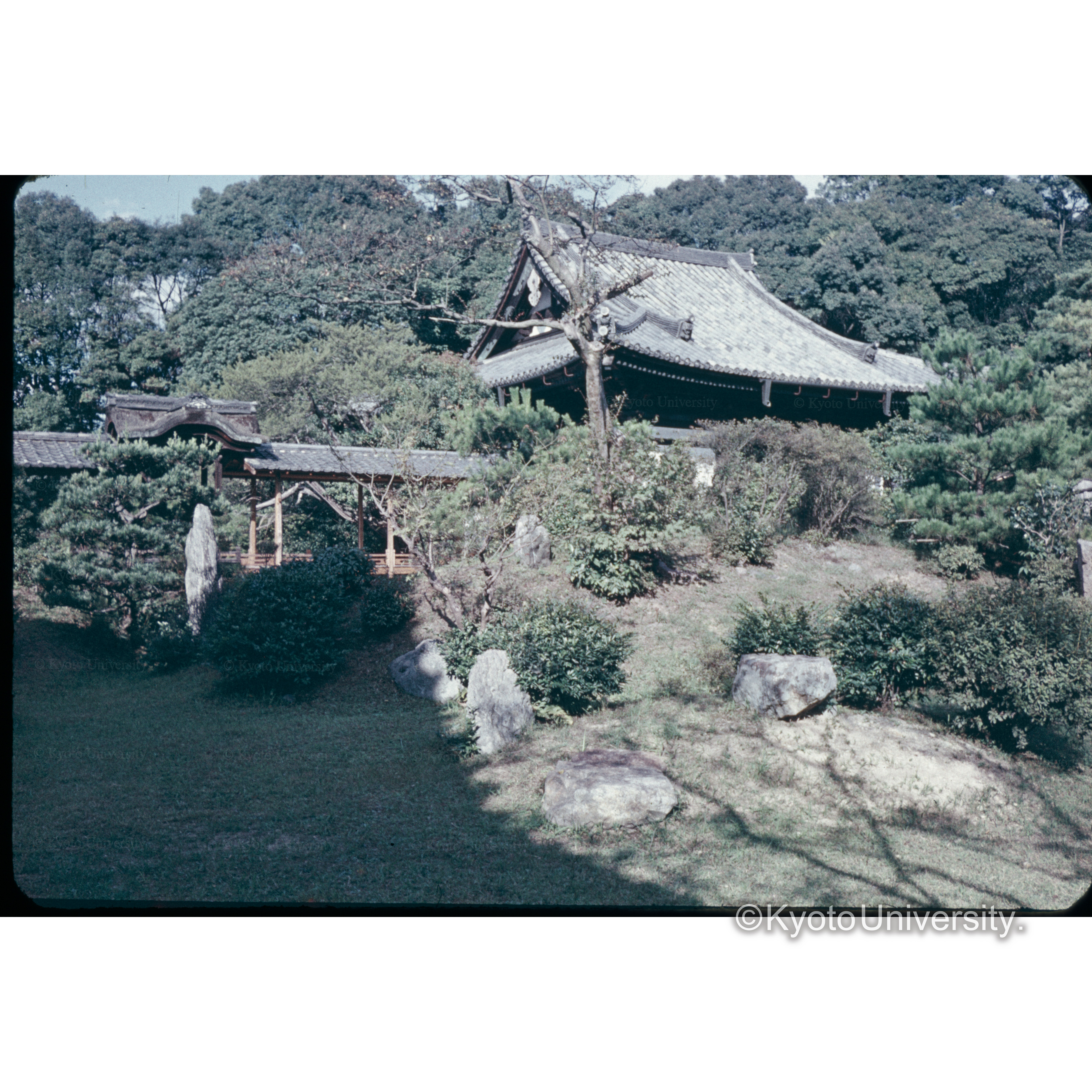 高台寺 (1)