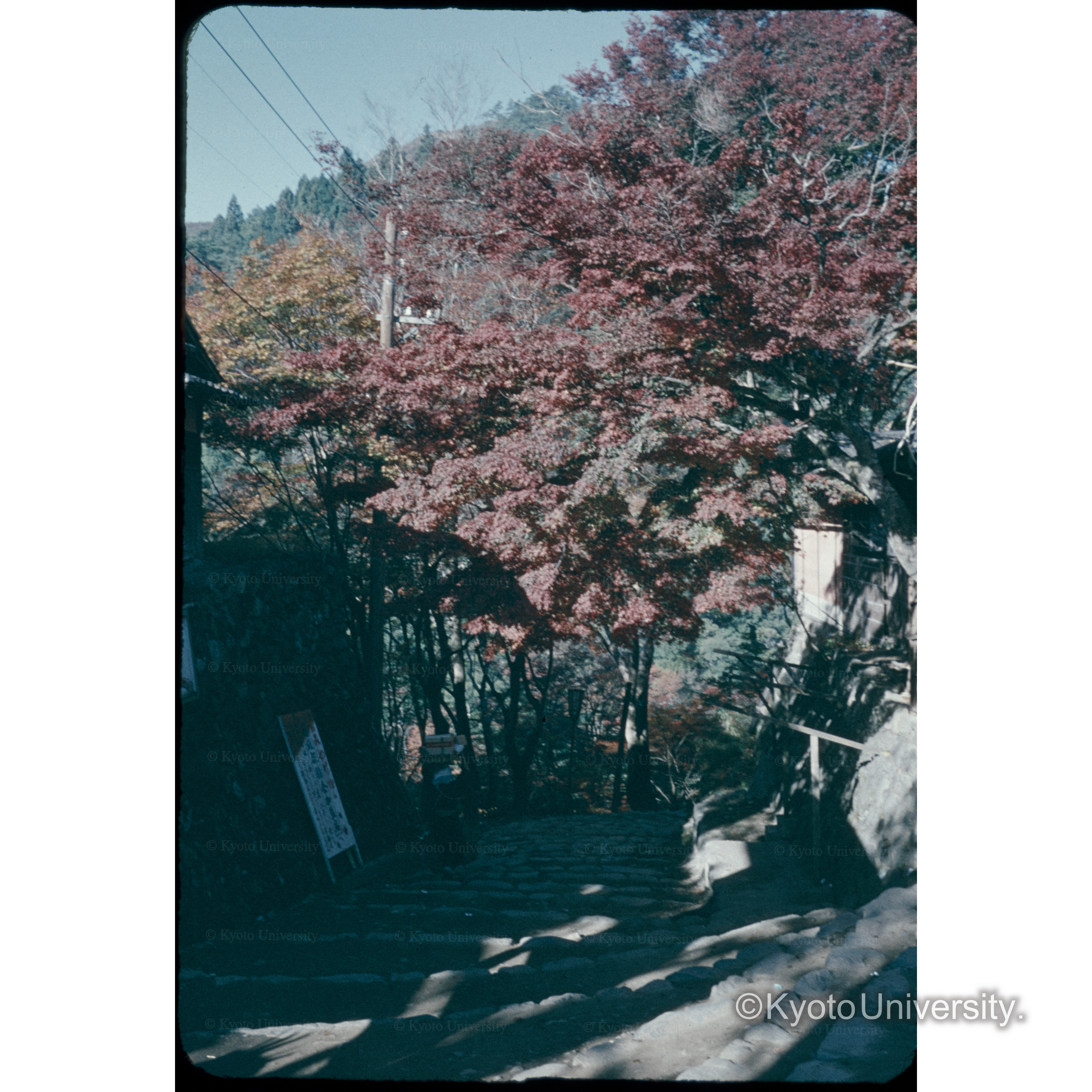 高雄 (1)